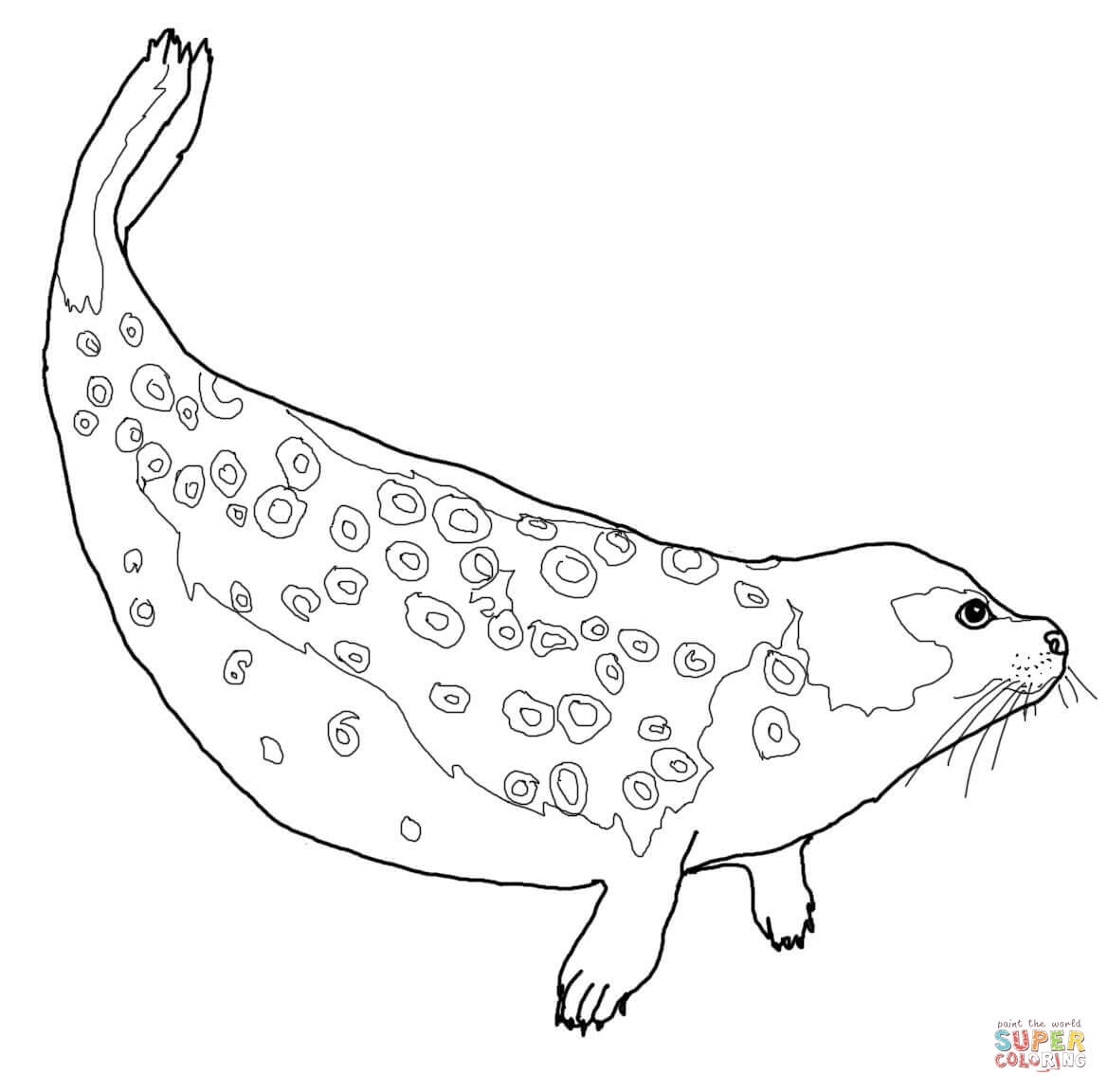 Leopard Seal Coloring Pages Download And Print For Free