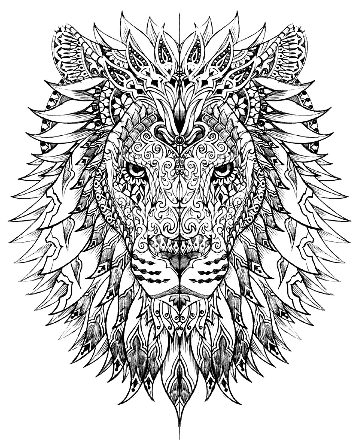 Lion Coloring Pages For Adults Printable