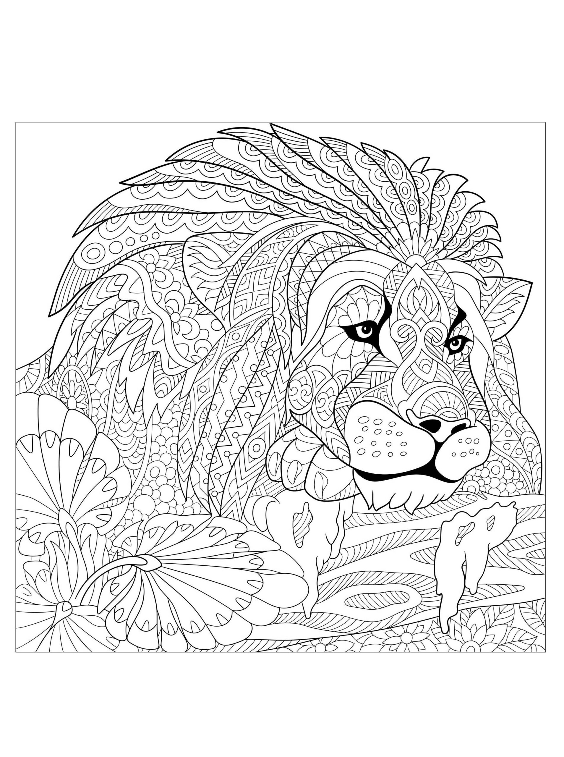 Lion King With Patterns Lions Adult Coloring Pages