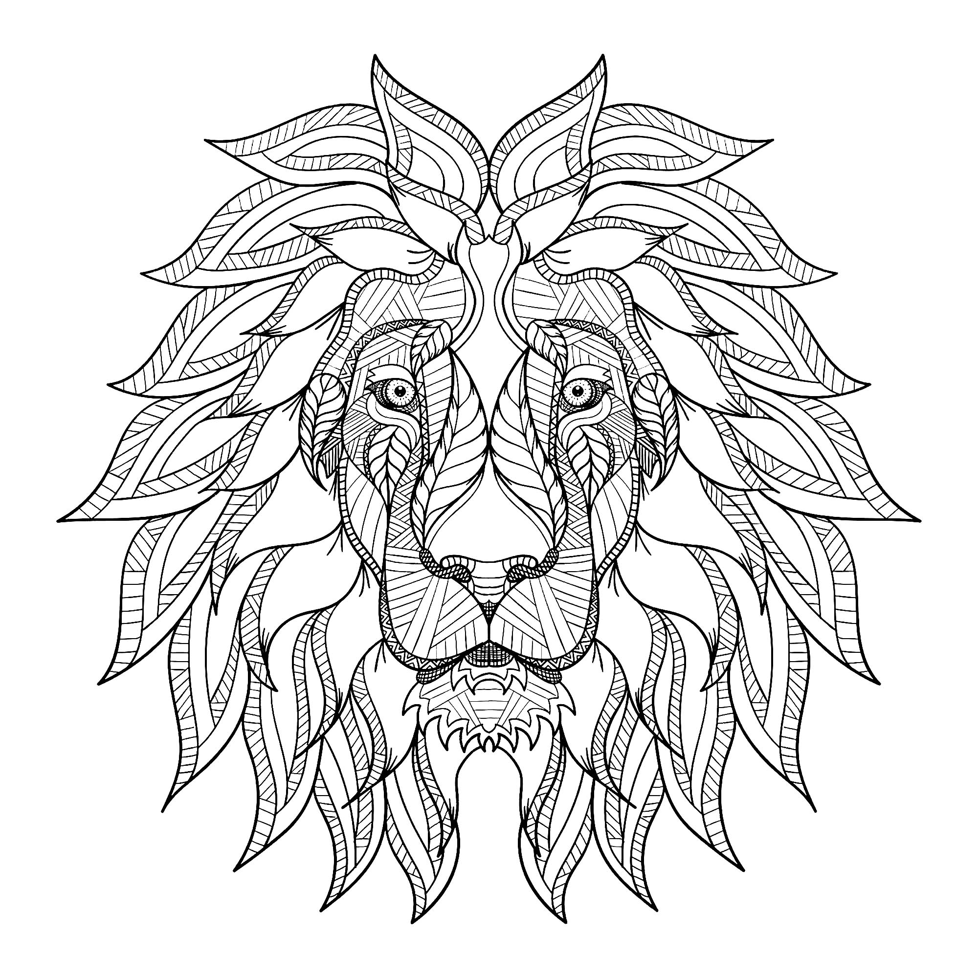Lion Adult Coloring Page