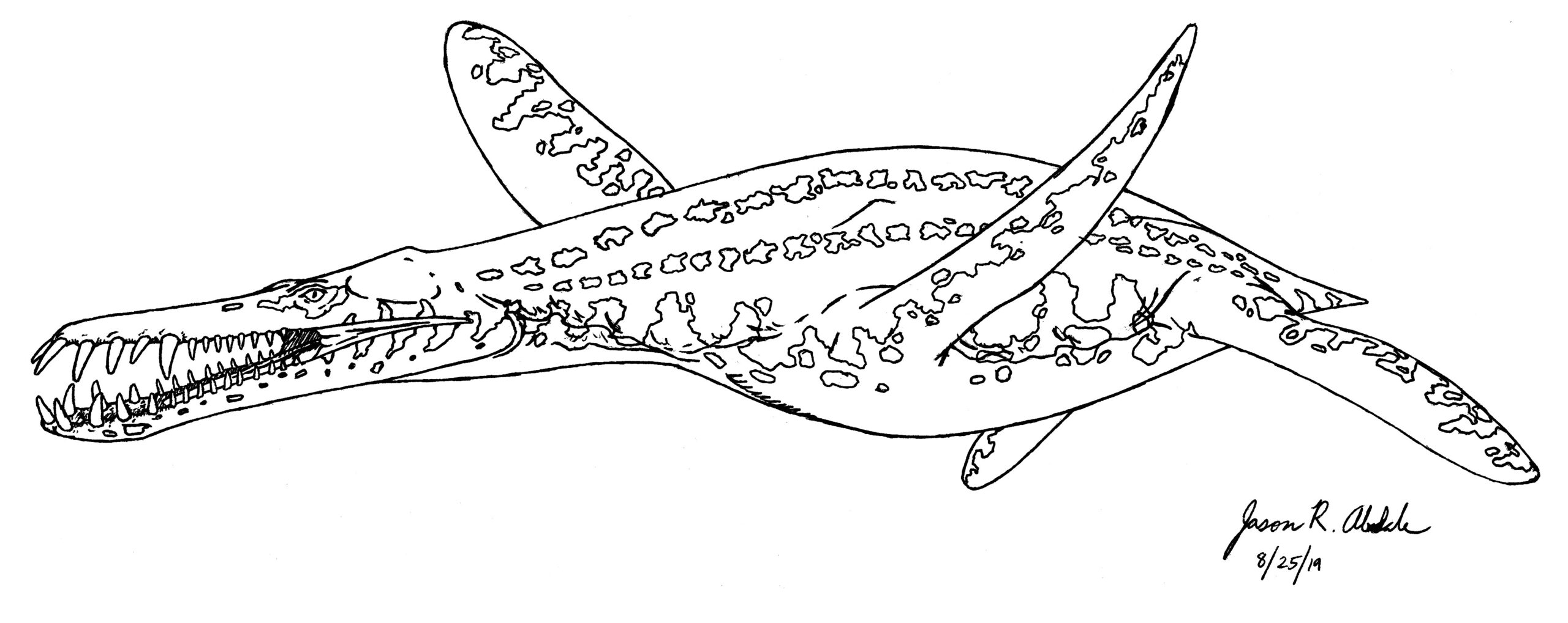 Liopleurodon Coloring Pages Sketch Coloring Page