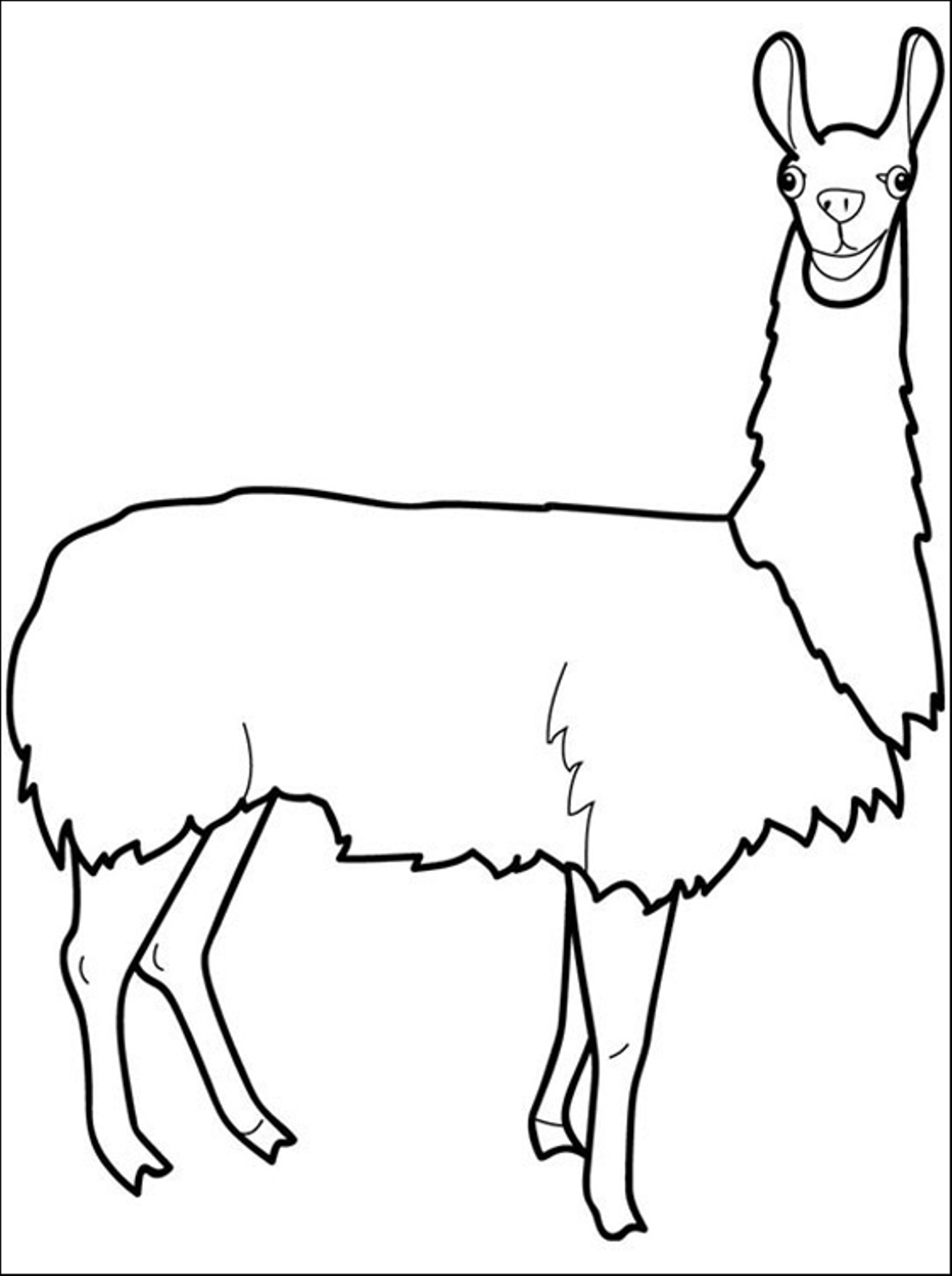 Free Llama Coloring Pages