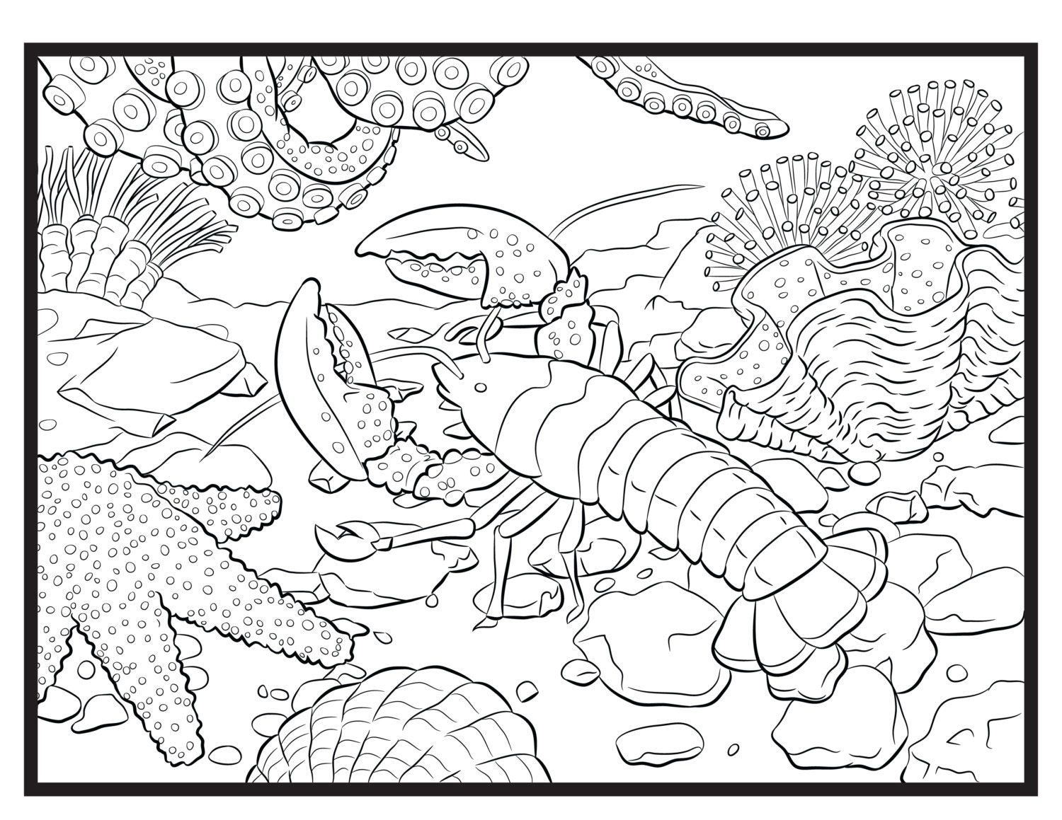Lobster Single Coloring Page Instant Download Etsy