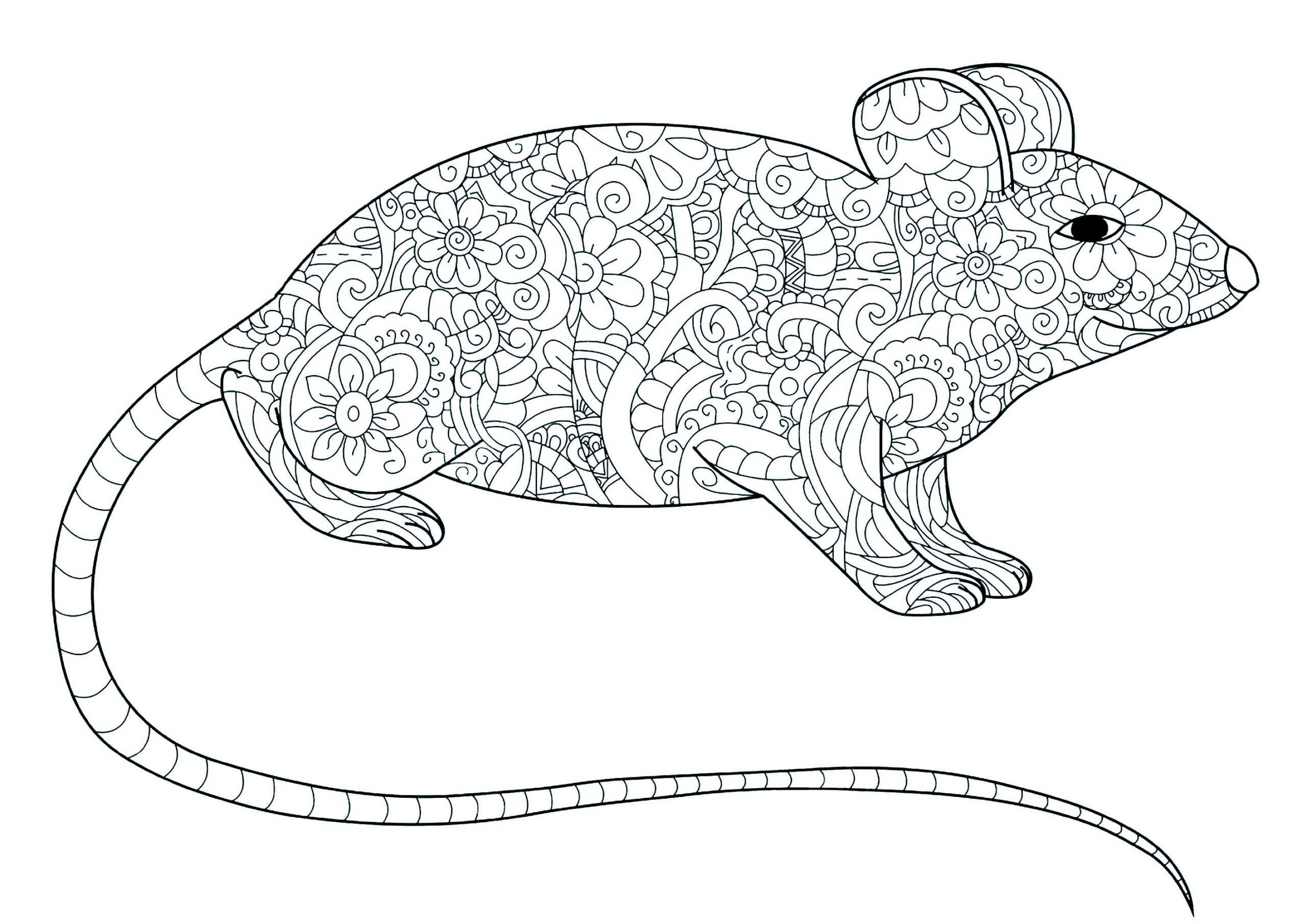Long Tailed Mouse Mouse Coloring Pages For Kids