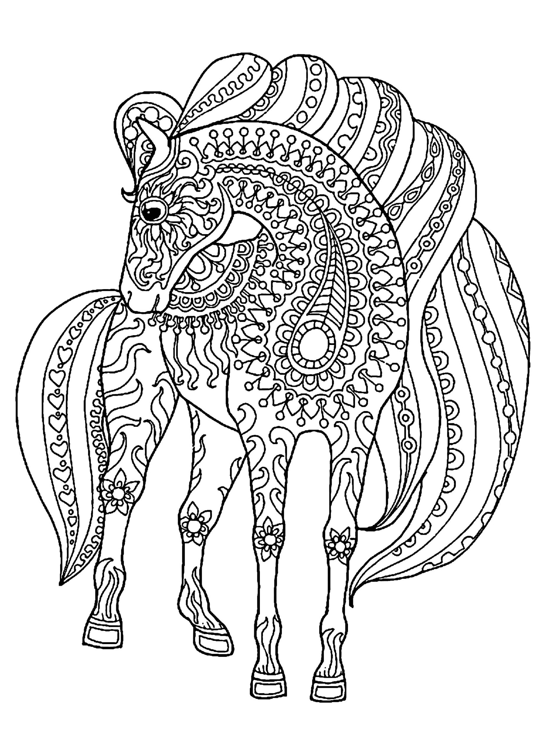 Majestic Horse Horse Coloring Pages For Kids