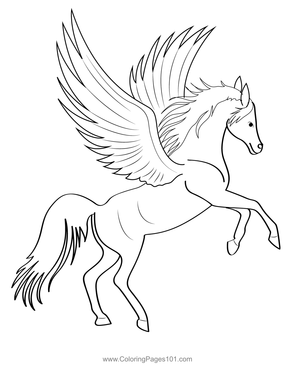 Malvorlage Pegasus Malvorlagen Einhorn Pegasus Malvorlage Malen Pferd Feen Erwachsene Tiere