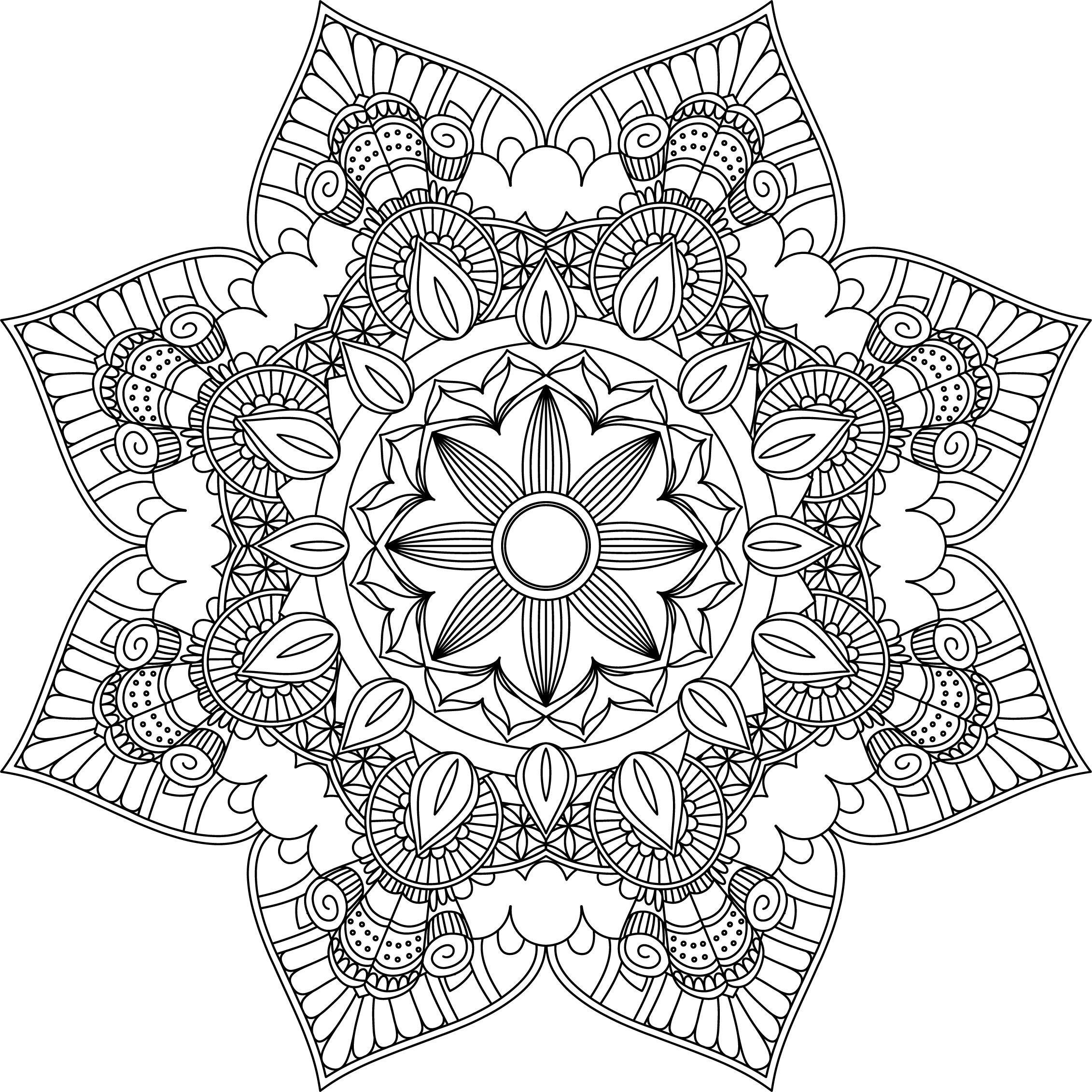 Mandala Coloring Pages Adult Coloring Sheet Printable Etsy Australia