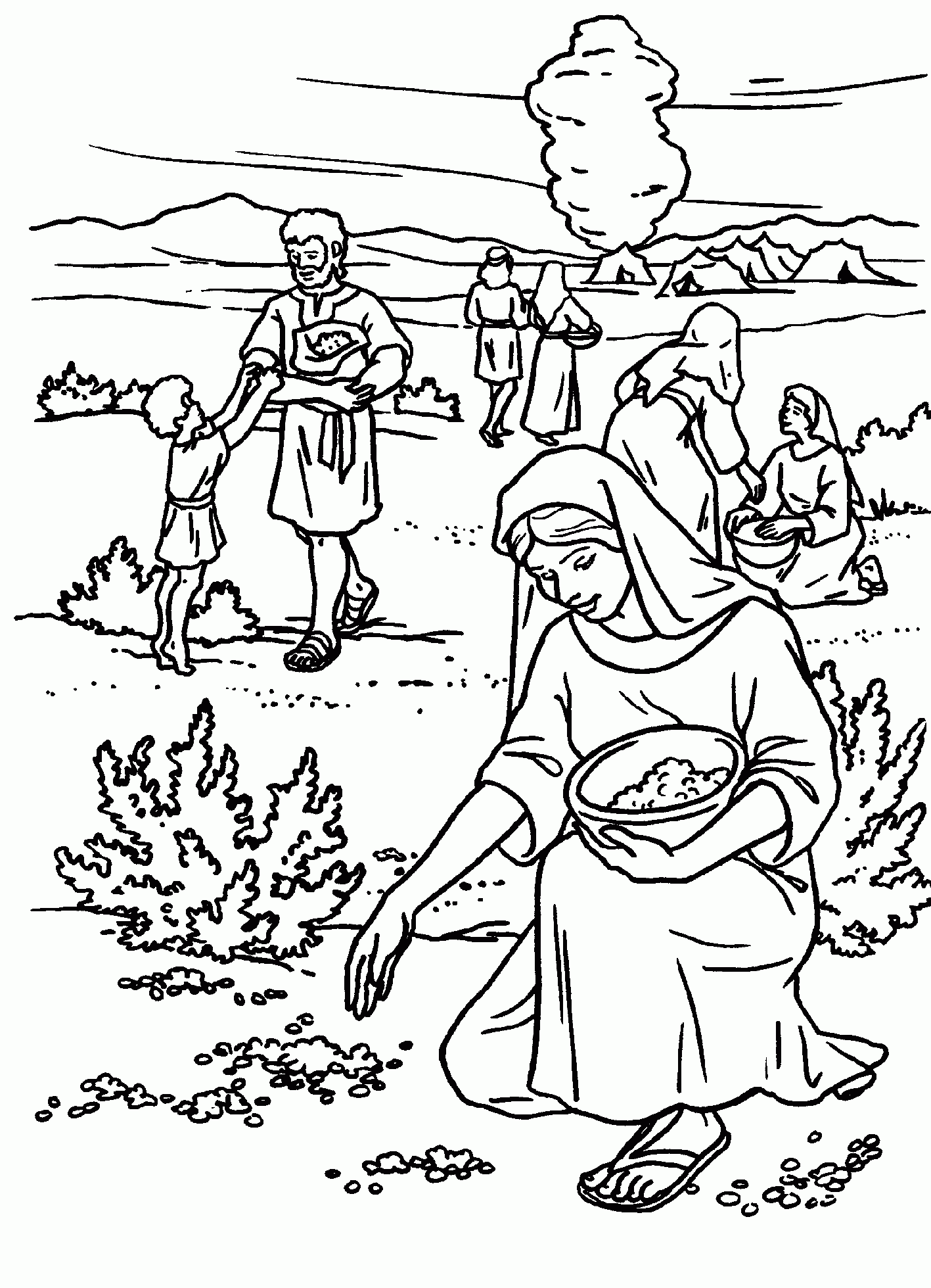 Manna Quail Coloring Page SundaySchoolist