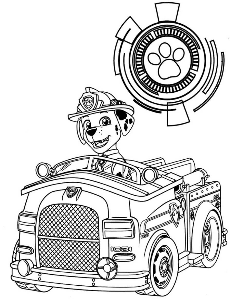 Marshall Paw Patrol 7 Coloring Page Free Printable Coloring Pages For Kids