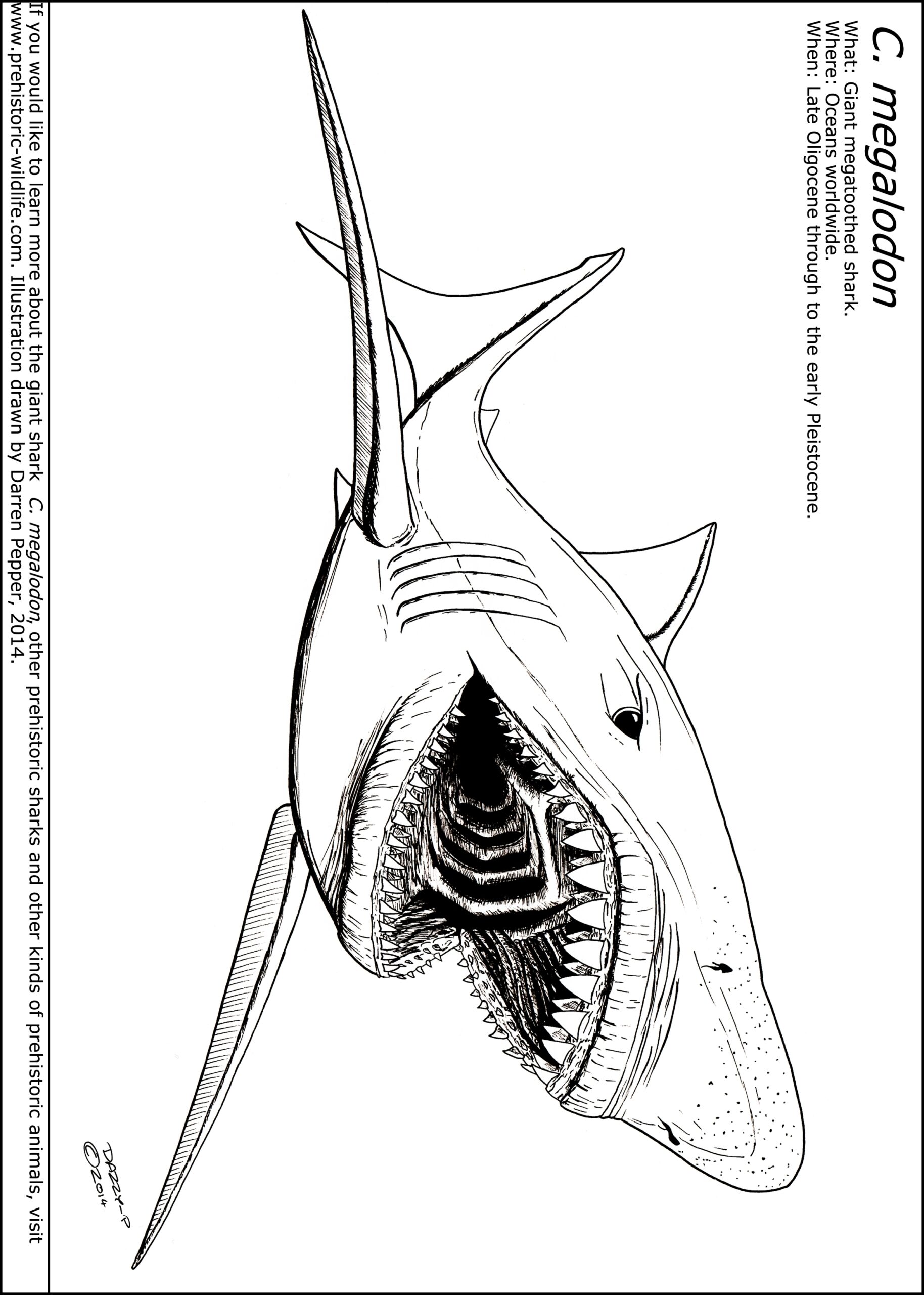 Megalodon Coloring Page At GetDrawings Free Download