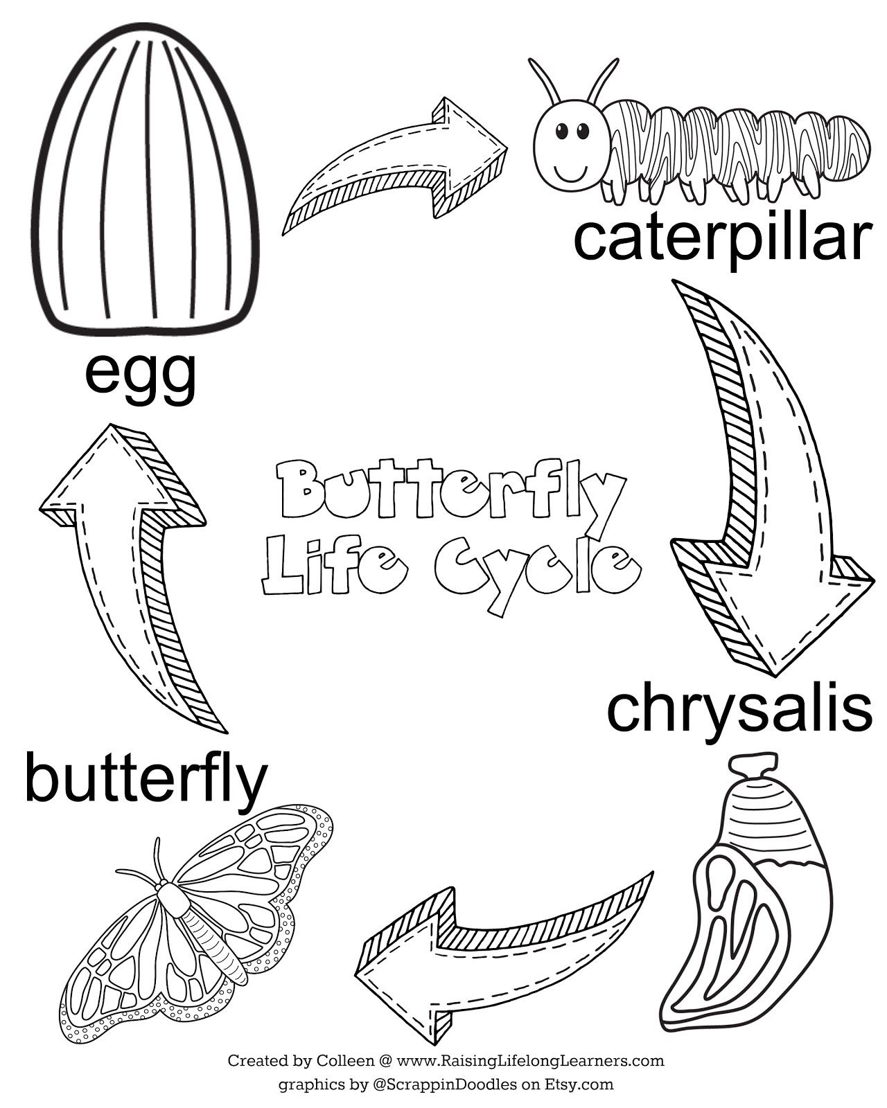 Metamorphosis Pages Coloring Pages