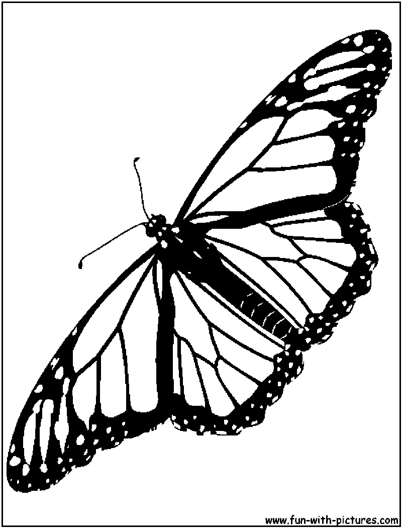 Monarch Coloring Page Coloring Pages