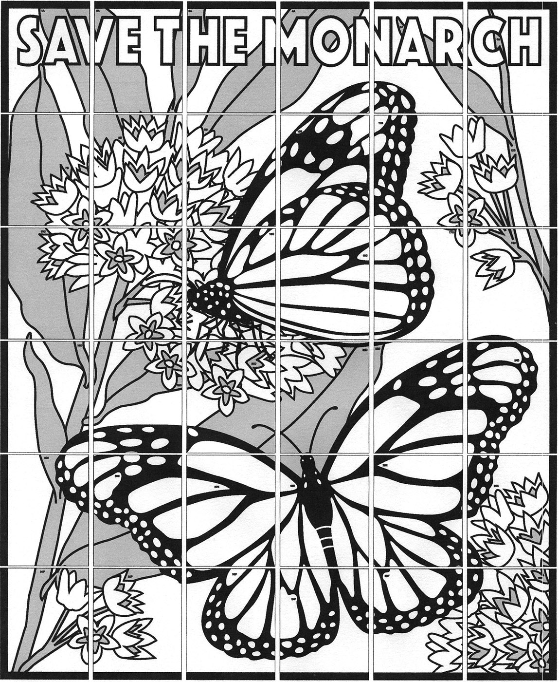 Monarch Coloring Page Printable Monarch Caterpillar Coloring Page For Both Aldults And Kids