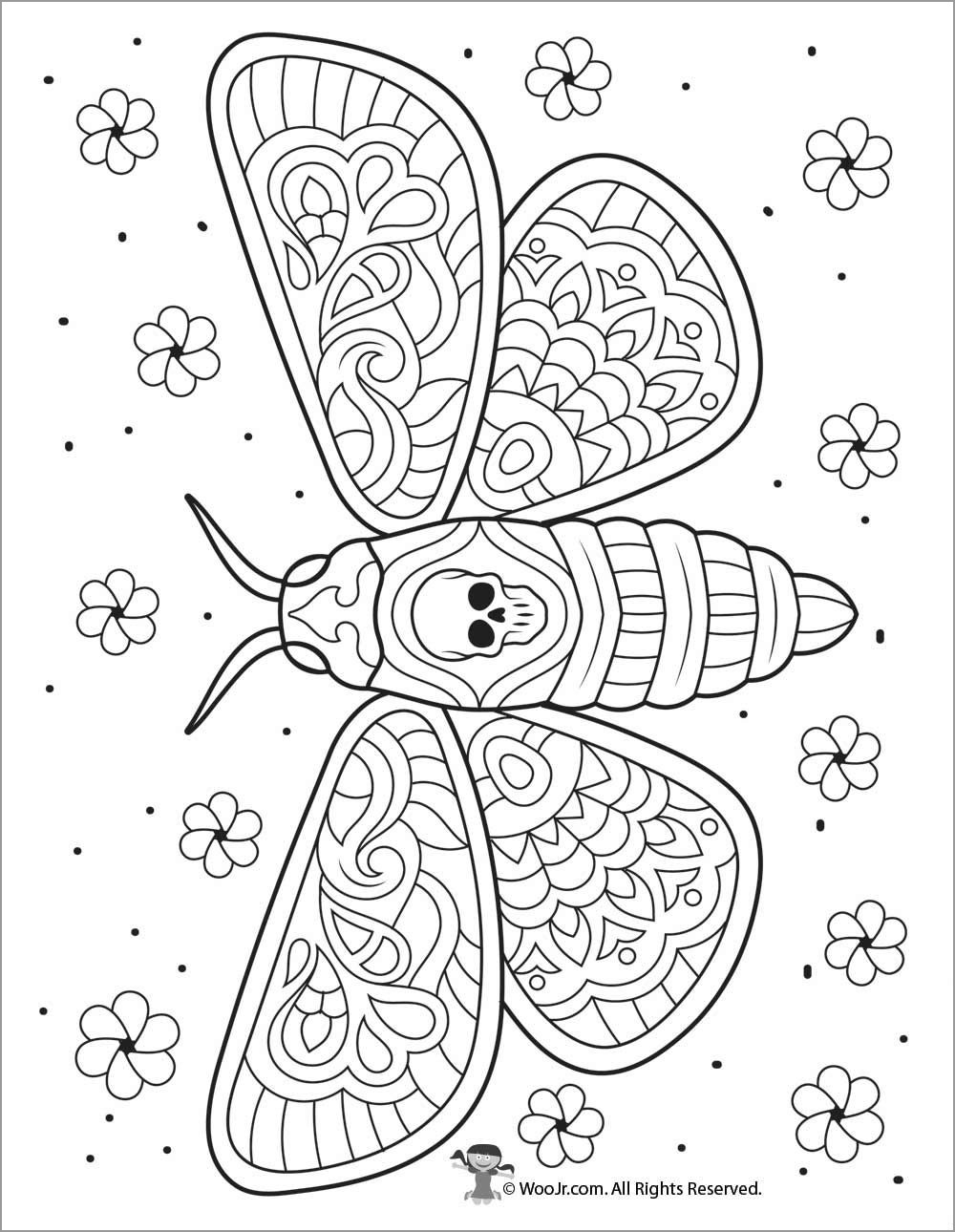 Moth Coloring Pages ColoringBay