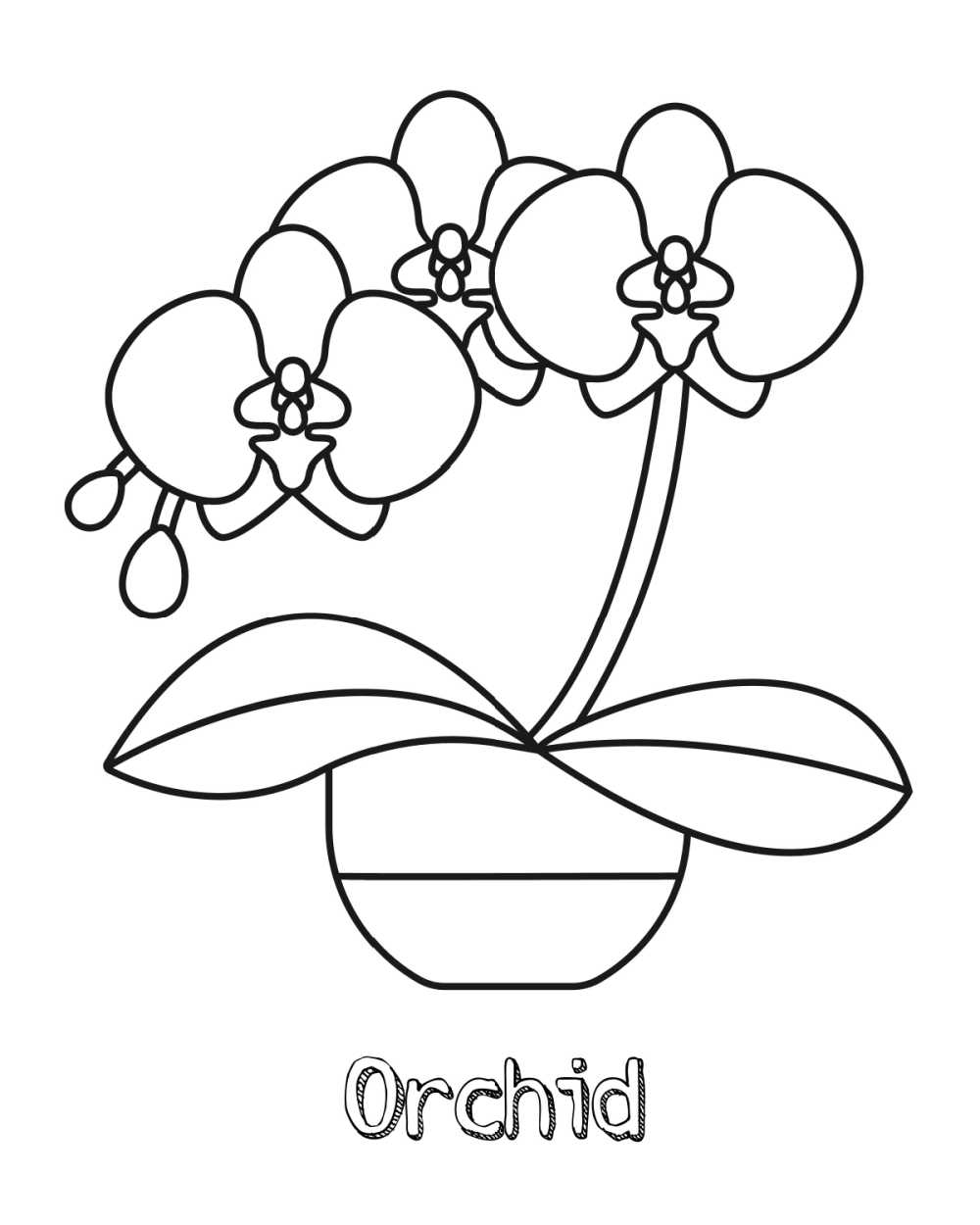 Orchid Coloring Page