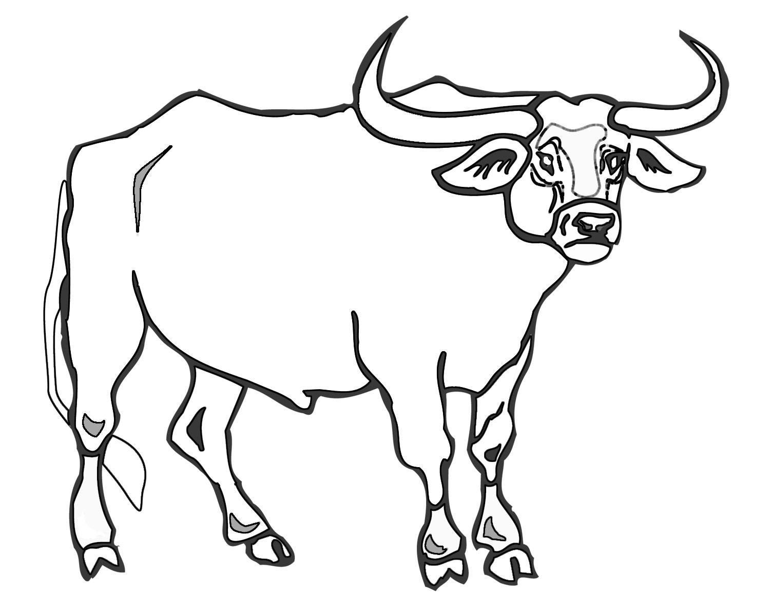 Ox Coloring Page At GetColorings Free Printable Colorings Pages To Print And Color