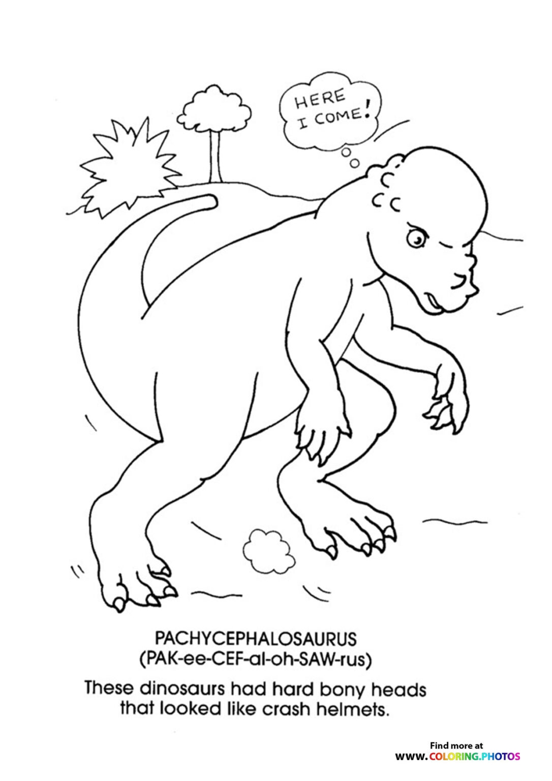 Pachycephalosaurus Coloring Pages For Kids
