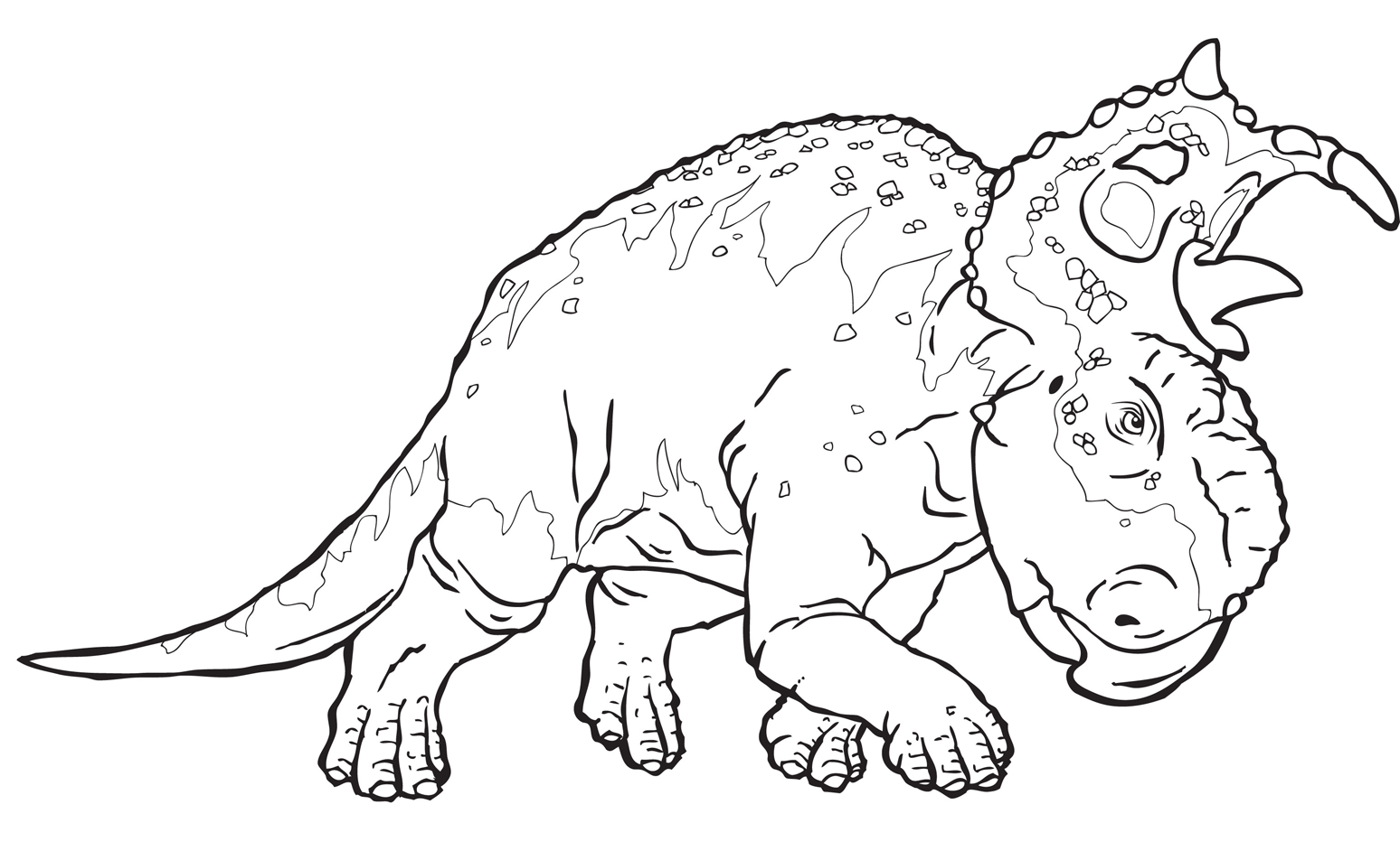 Pachyrhinosaurus Coloring Pages Sketch Coloring Page