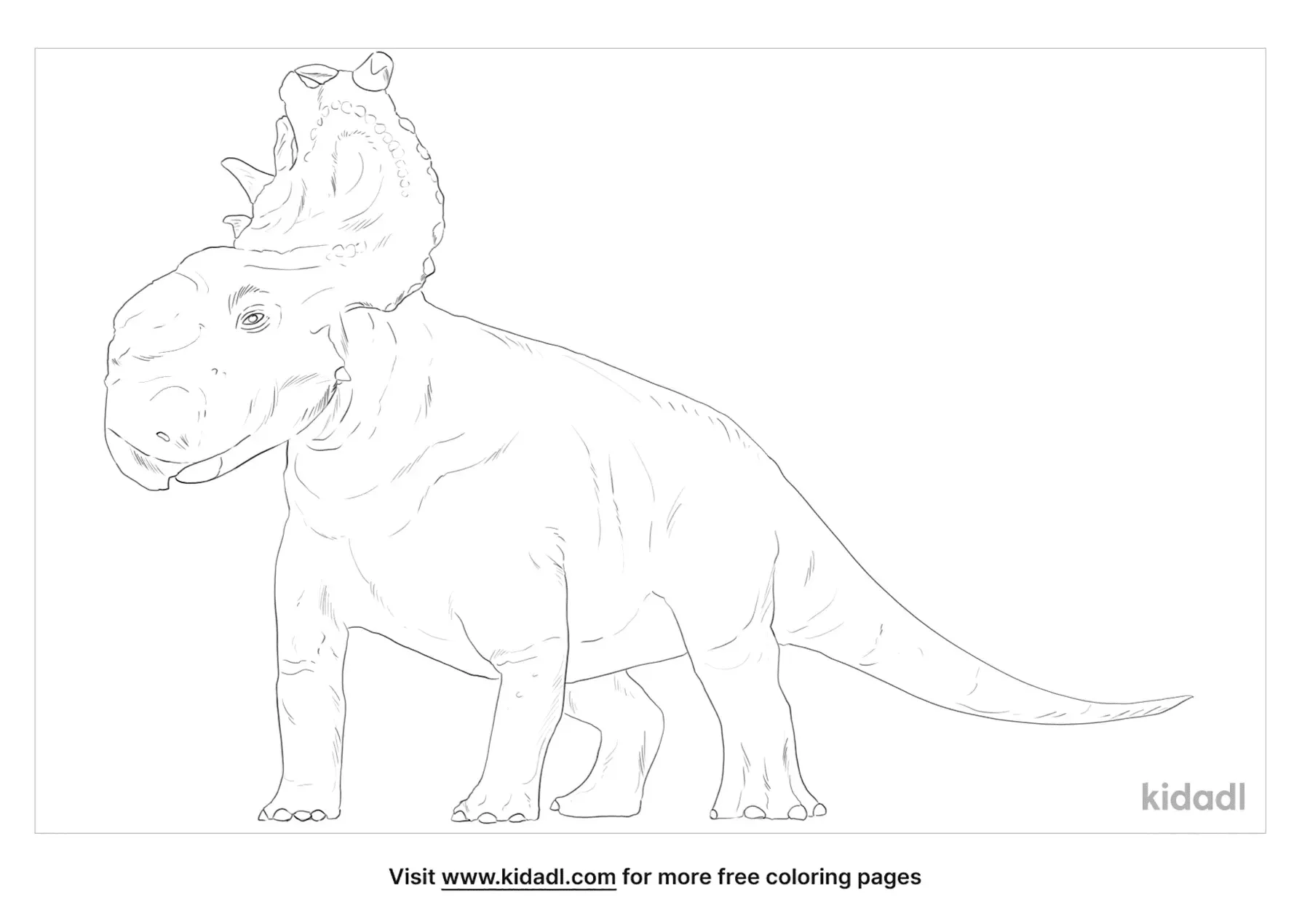 Pachyrhinosaurus Scott Elyard Updated Drawing Encouragement Someone Sketch Thank Special Very
