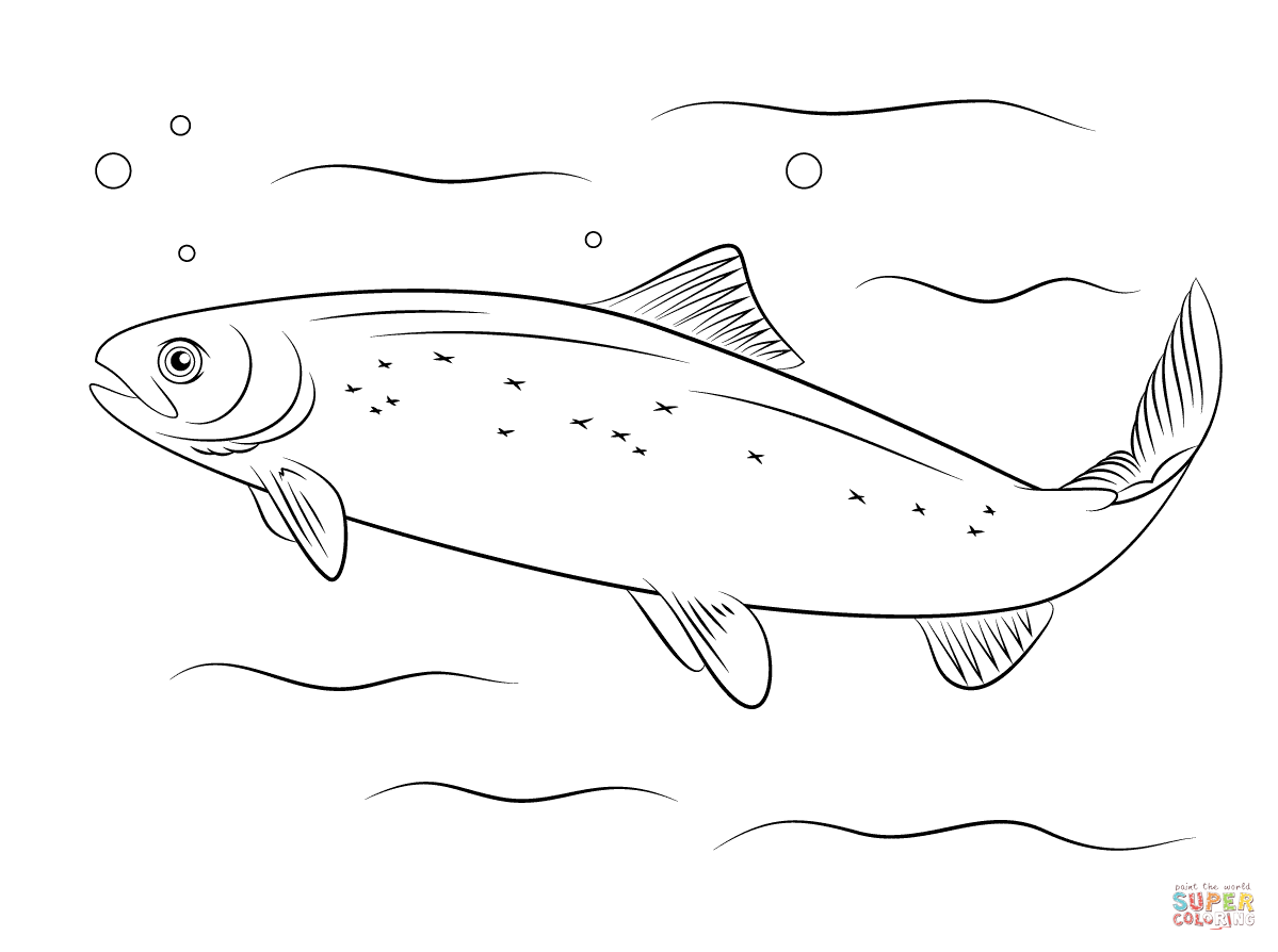 Pacific Salmon Coloring Pages Download And Print For Free