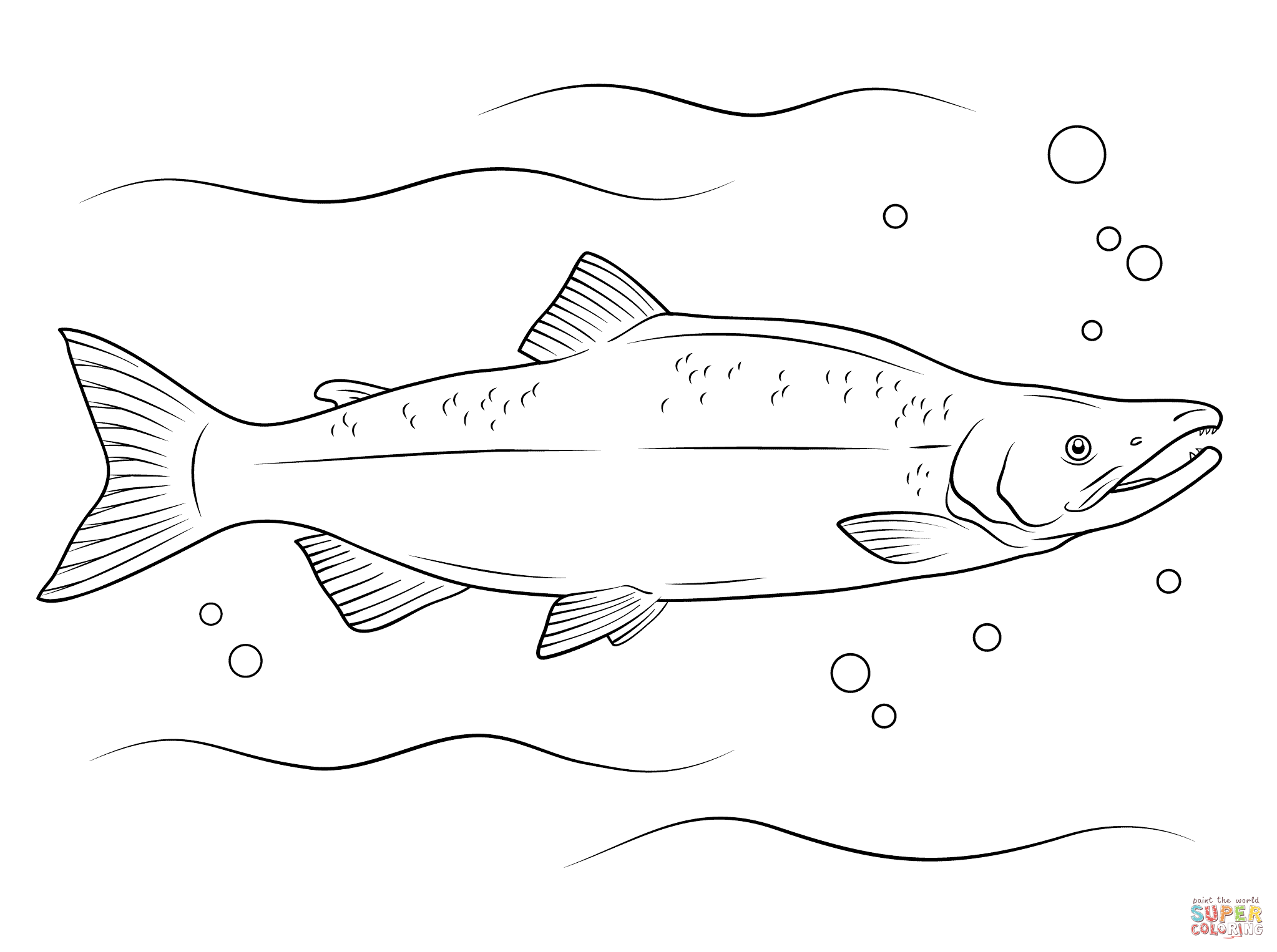 Pacific Salmon Coloring Pages Download And Print For Free
