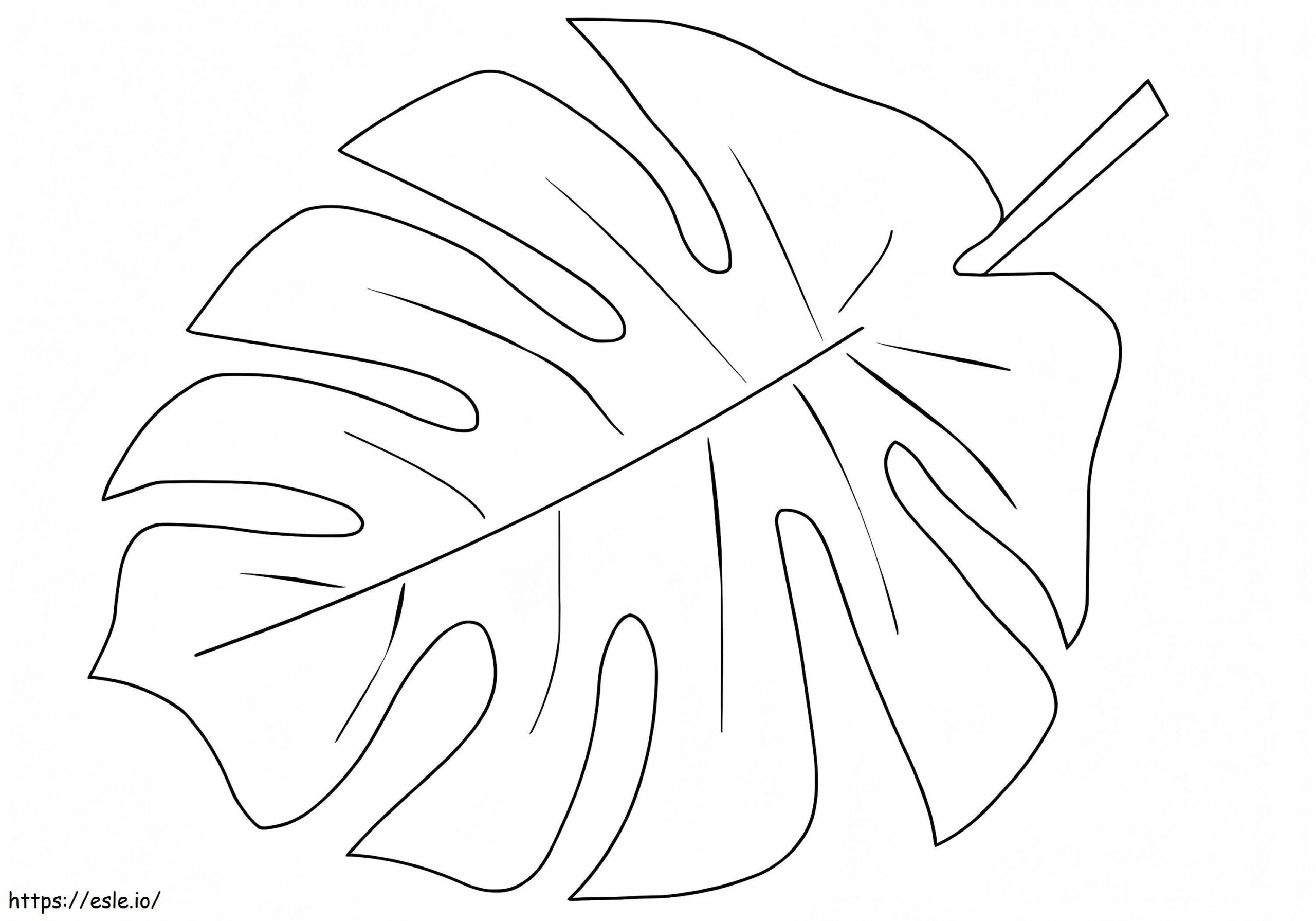 Palm Leaf Coloring Page
