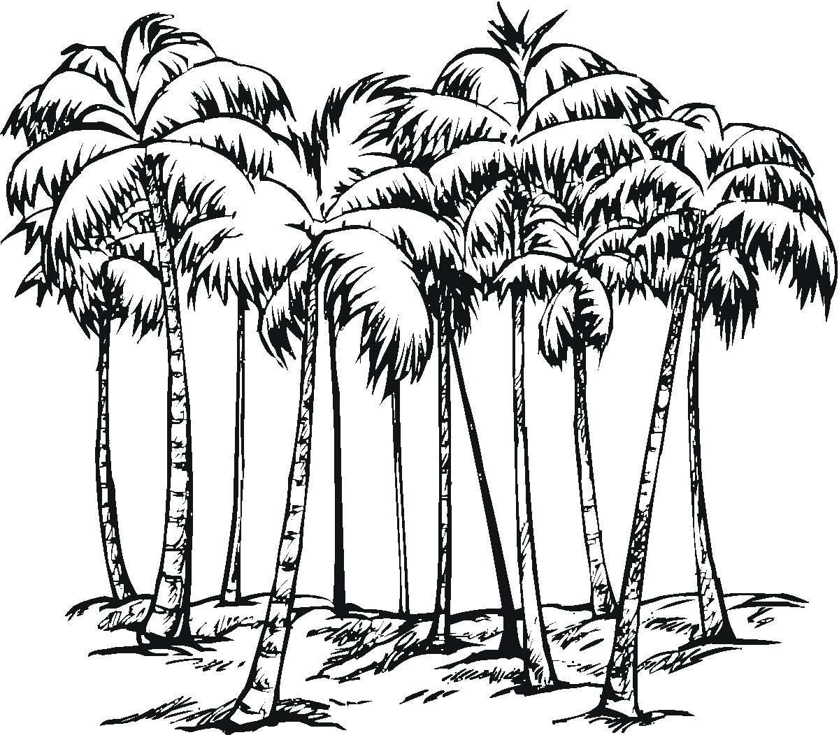 Palm Tree 161177 Nature Free Printable Coloring Pages