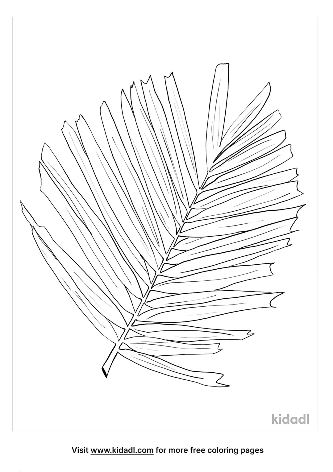 Palm Tree Leaf Coloring Page