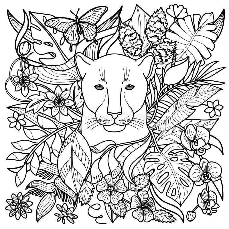 Panther Coloring Page Stock Illustrations 214 Panther Coloring Page Stock Illustrations