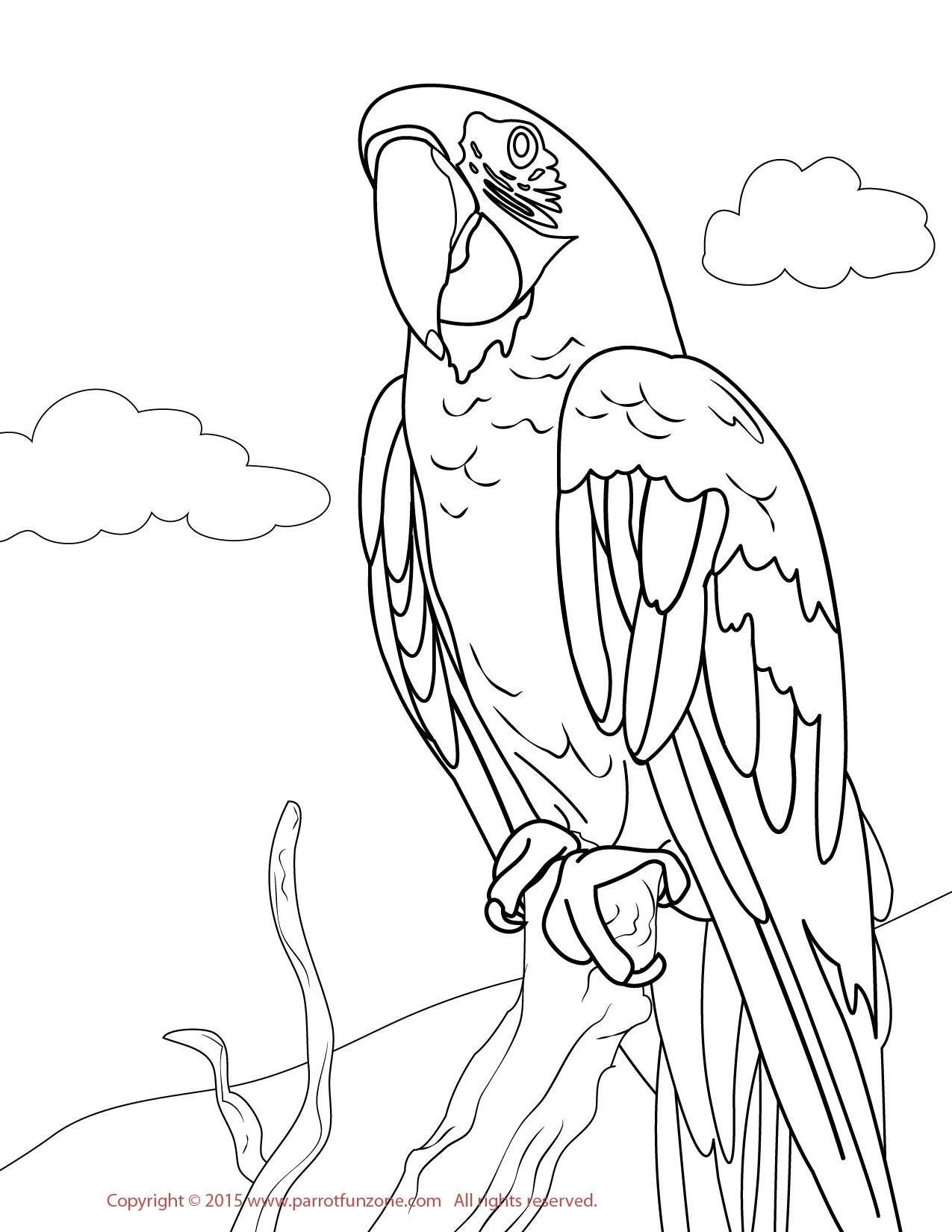 Parakeet Coloring Pages At GetColorings Free Printable Colorings Pages To Print And Color