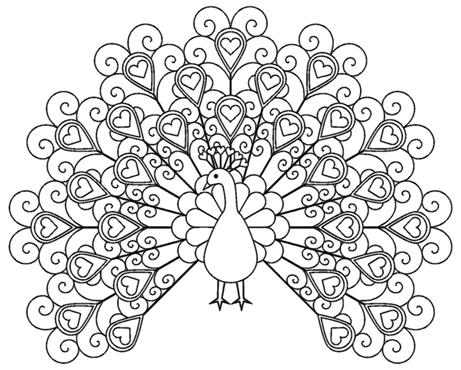 Peacock Coloring Page For Kids Peacock Coloring Pages For Kids