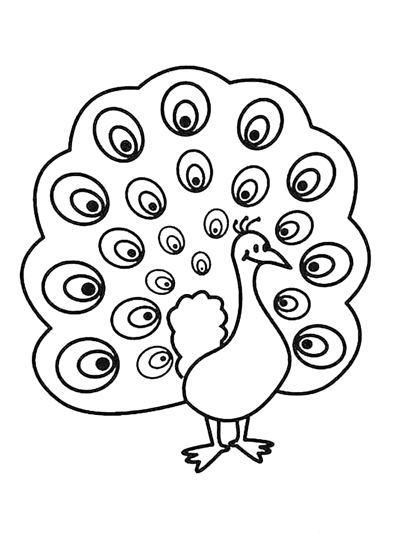 Peacock Coloring Page To Print Peacock Coloring Pages For Kids