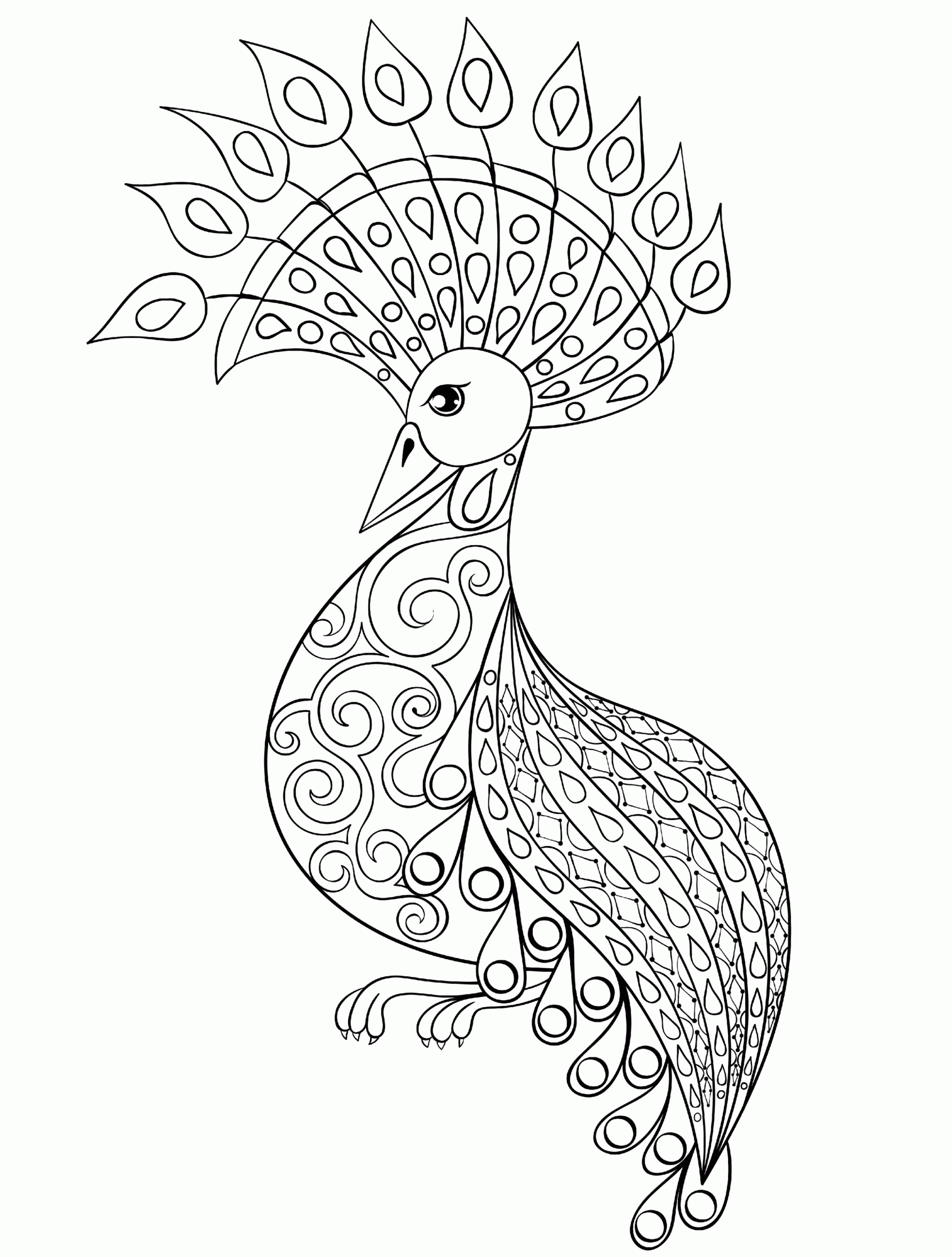 Peacock Coloring Pages For Adults Adult Coloring Pages Peacock Coloring Home Discover Our