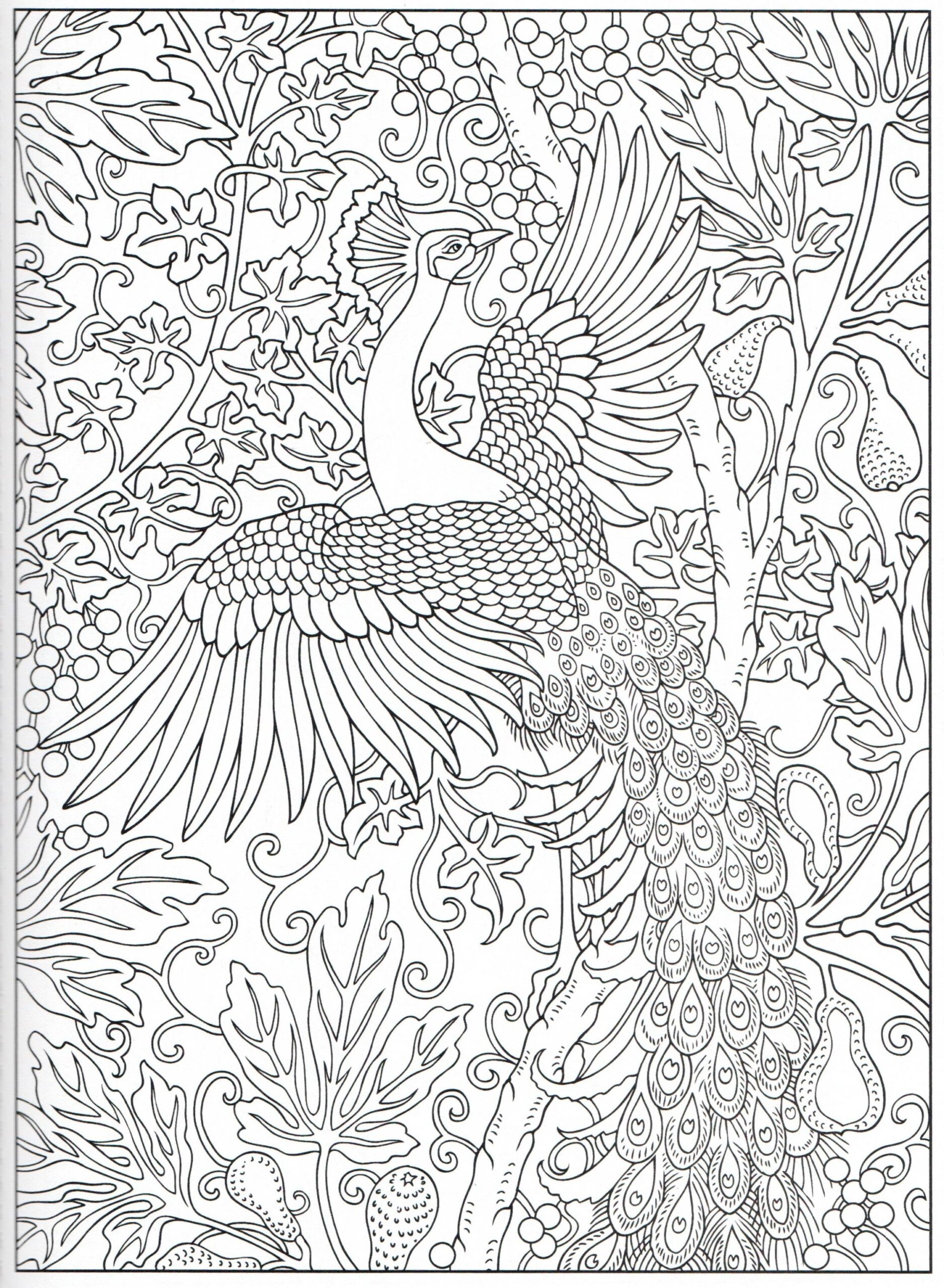 Peacock Colouring Pages For Adults These Fun Overlays Will Make Your Page Look Like An Oil
