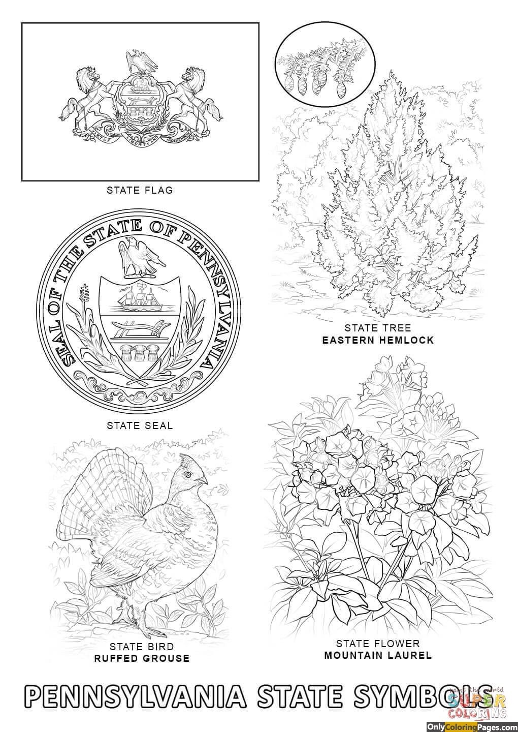 Pennsylvania State Symbols Coloring Page Free Download Goodimg Co