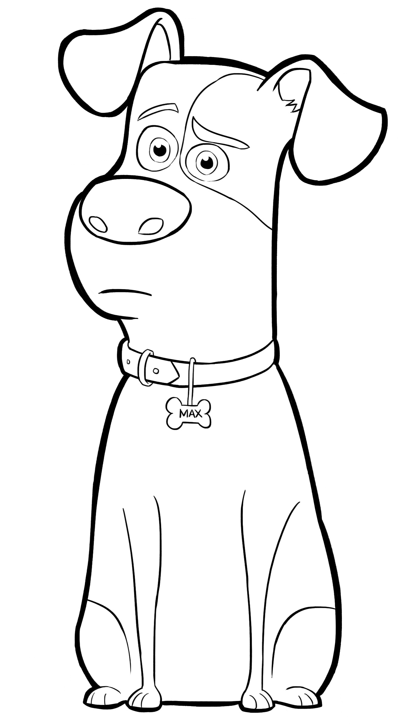 Pet Coloring Page