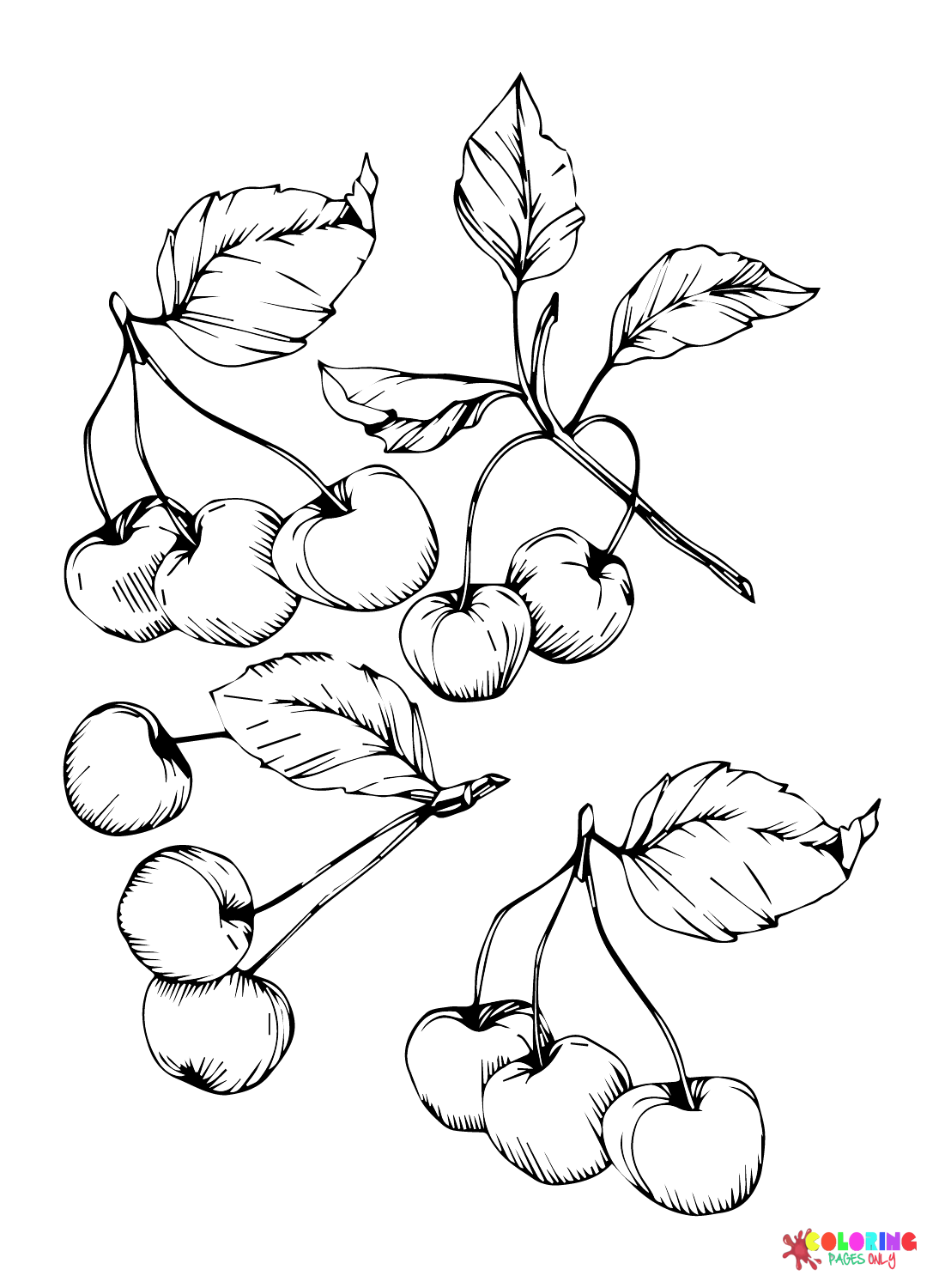 Pictures Cherry Coloring Page Free Printable Coloring Pages