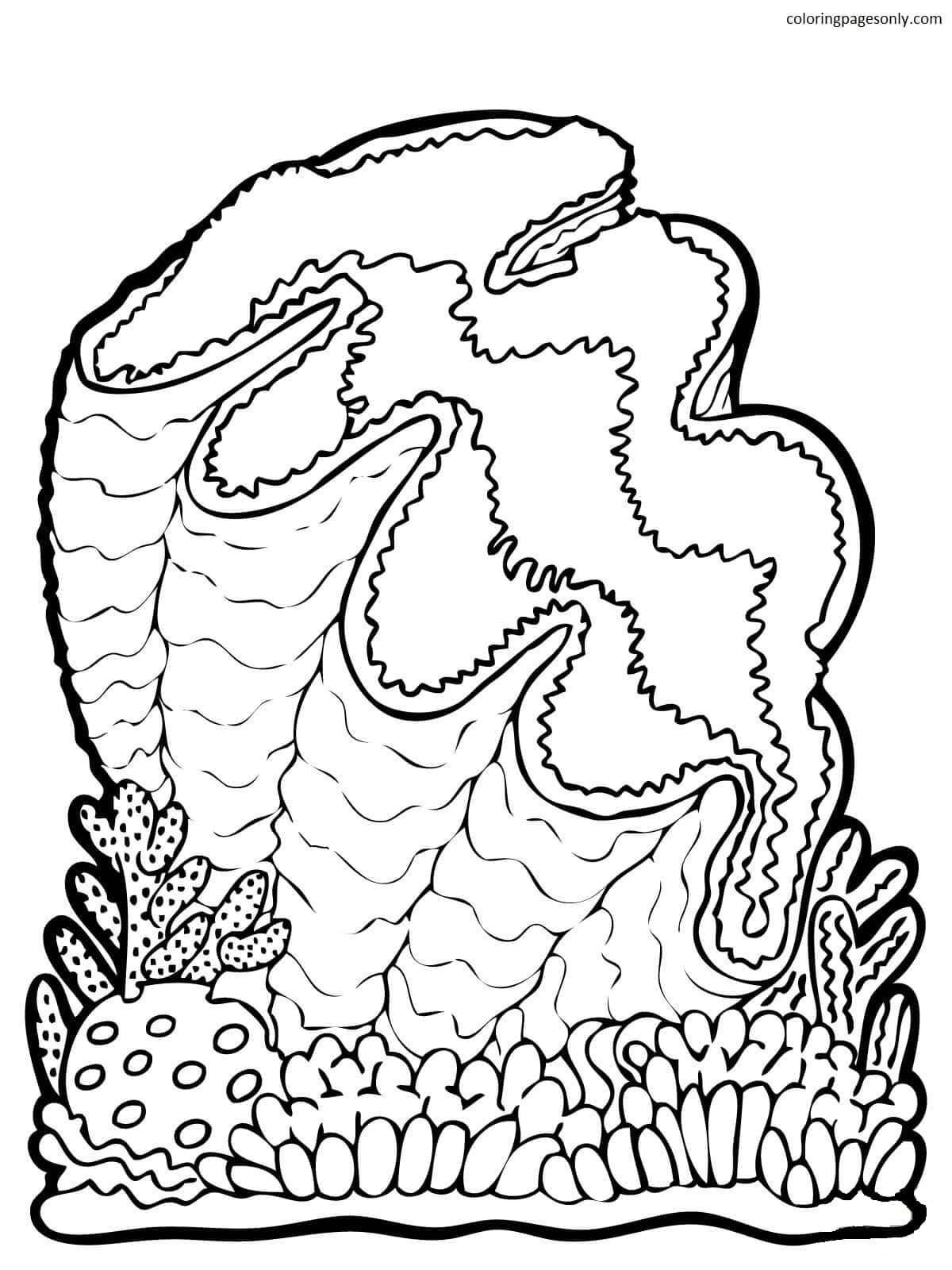 Pictures Clam Coloring Pages Free Printable Coloring Pages