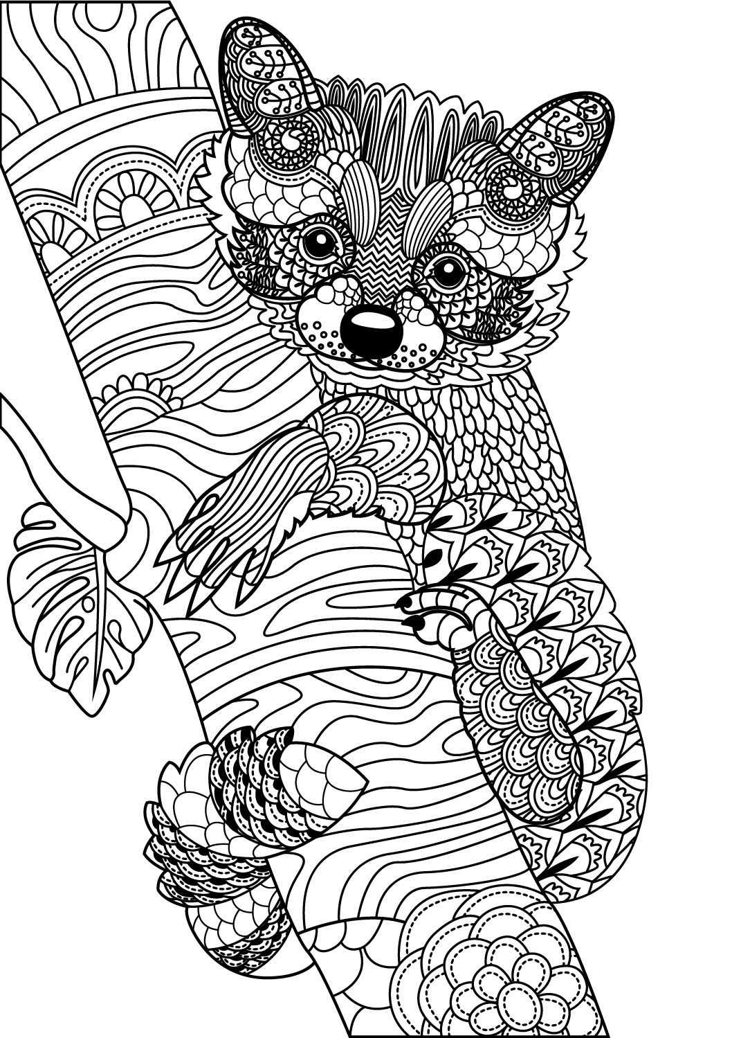 Pin On Animals Adult Colouring Zentangles
