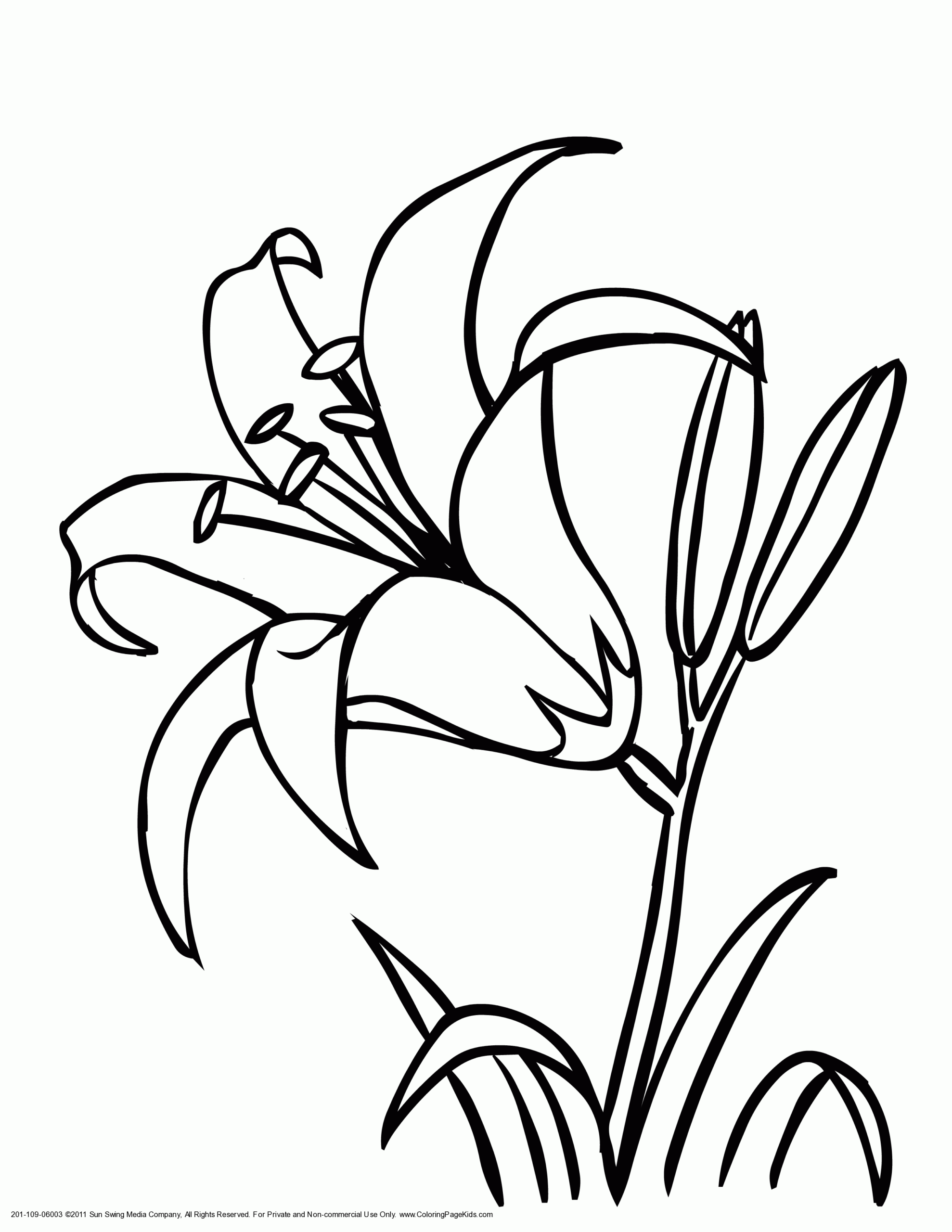 Pin On Art For Crafts