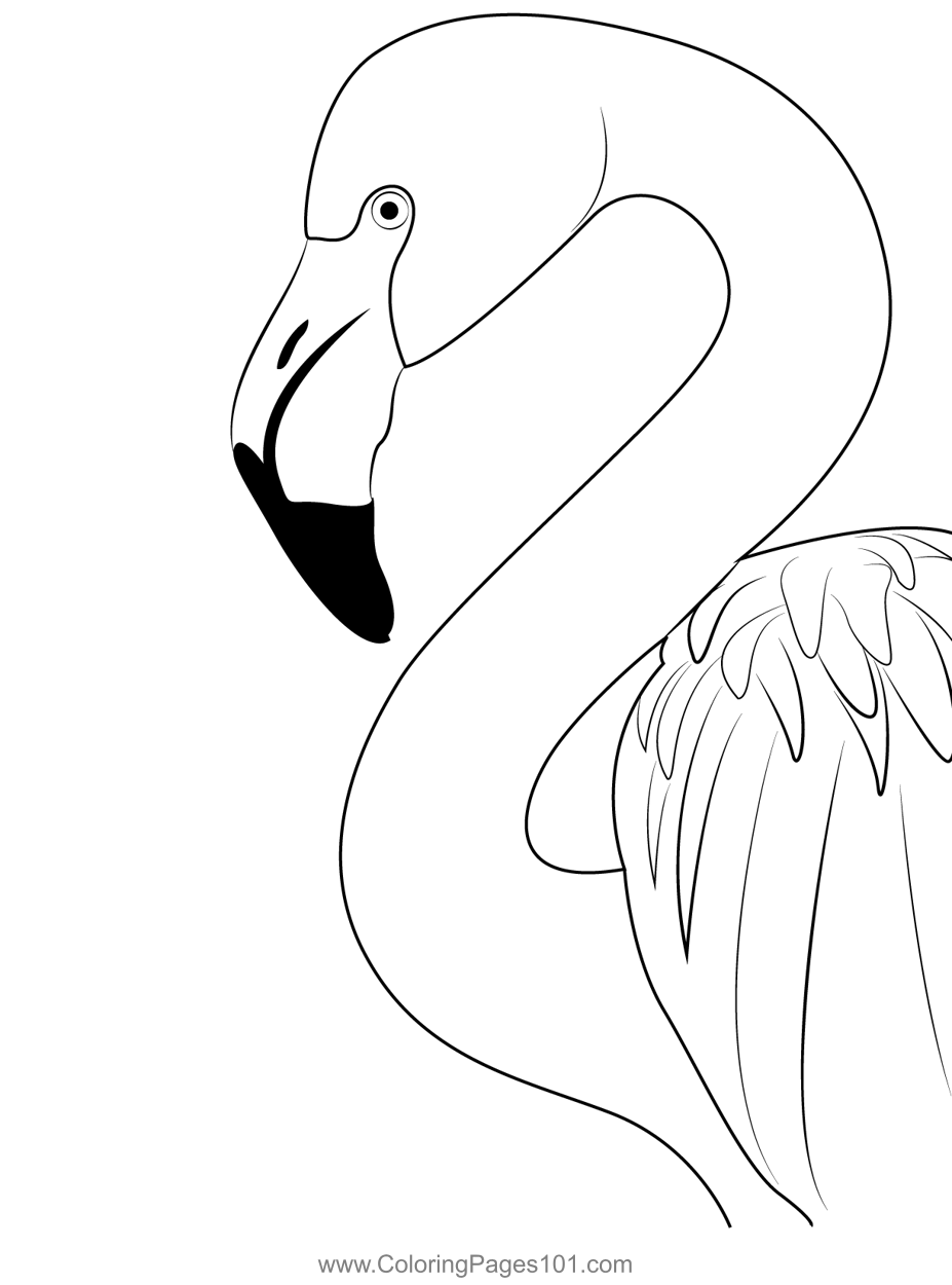 Pink Flamingo Birds Head Coloring Page For Kids Free Flamingos Printable Coloring Pages Online