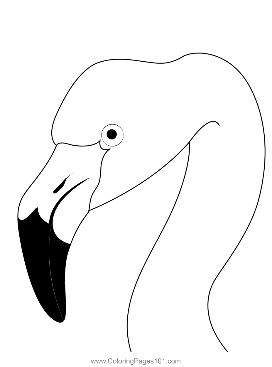 Pink Flamingo Coloring Page