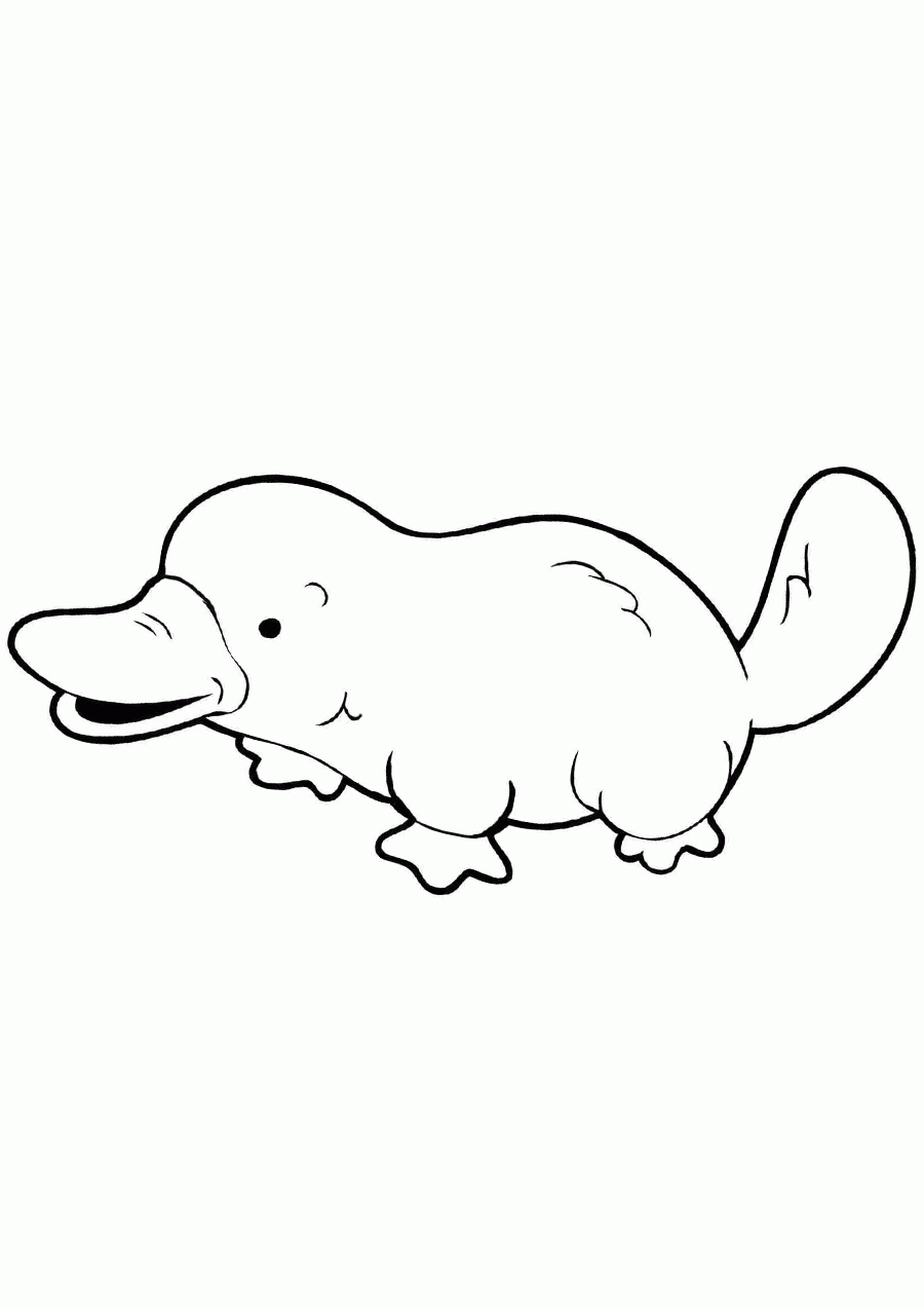 Platypus Coloring Pages