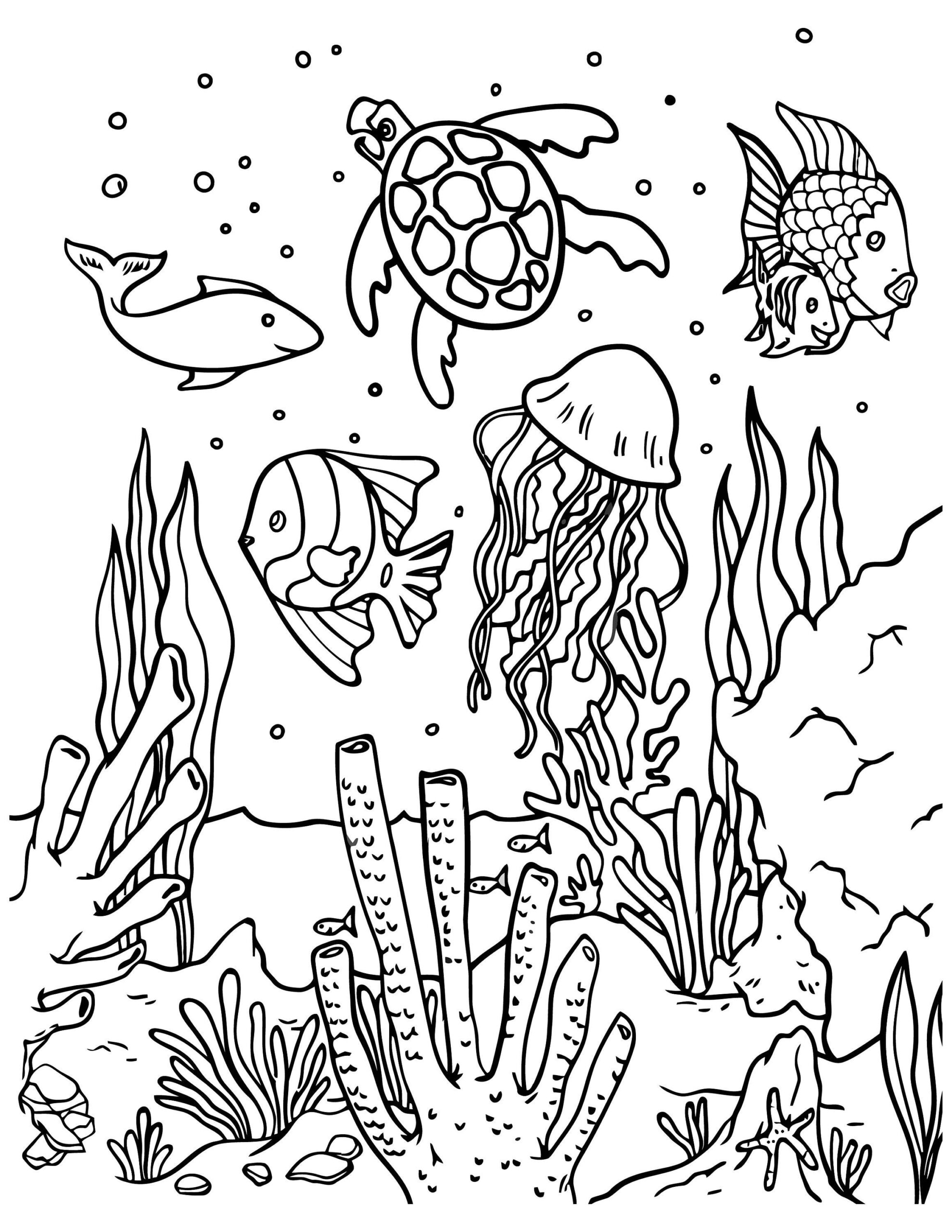 Playful And Detailed Coloring Pages For Kids Of All Ages This Set Includes 37 JPGS PDFs Of