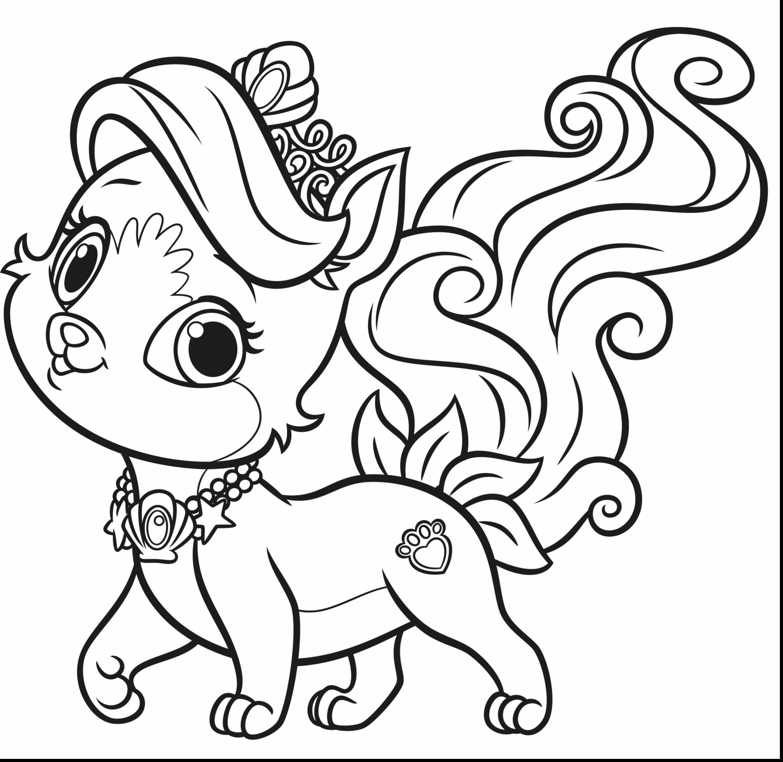 Pomeranian Puppy Coloring Pages At GetColorings Free Printable Colorings Pages To Print