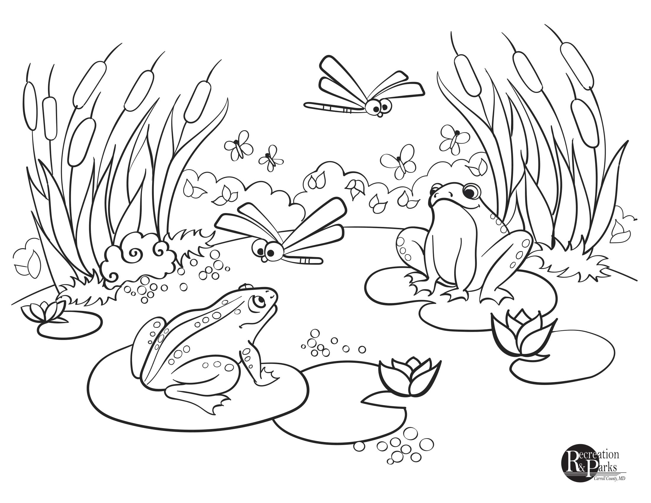 Pond Printables Free Coloring Pages Adult Coloring Pages