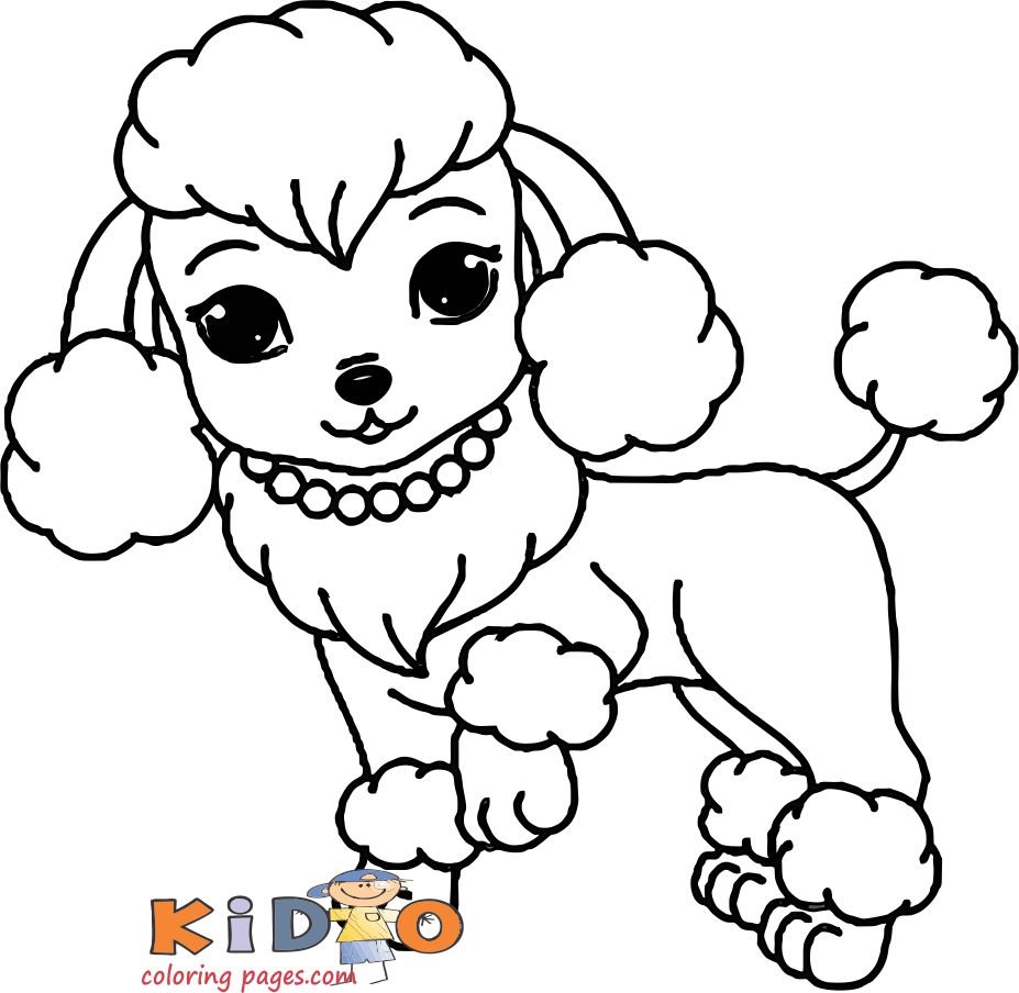 Poodle Puppy Coloring Page Check Out The Webpage To Learn More On Maltese Dog Check The