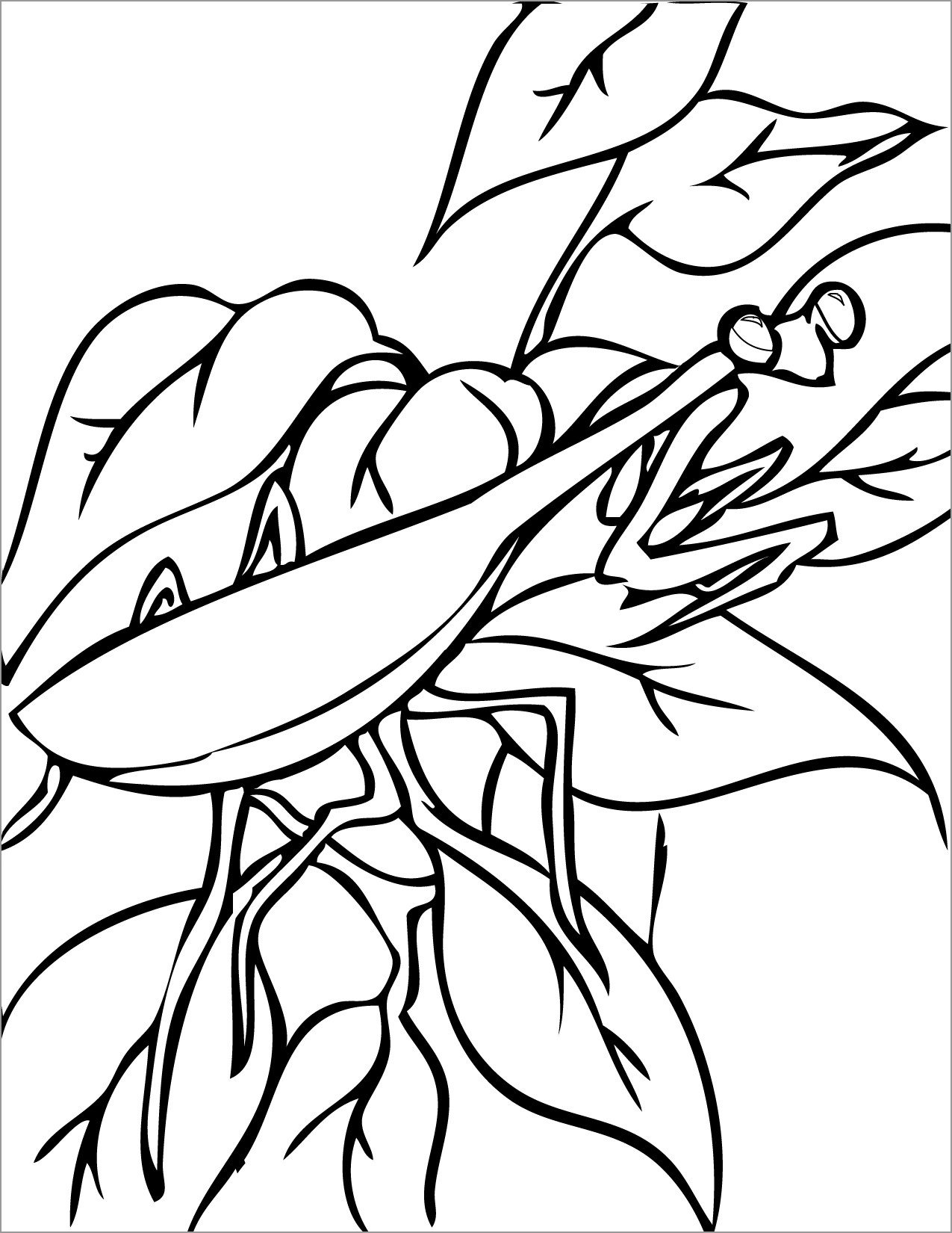 Praying Mantis Coloring Pages ColoringBay