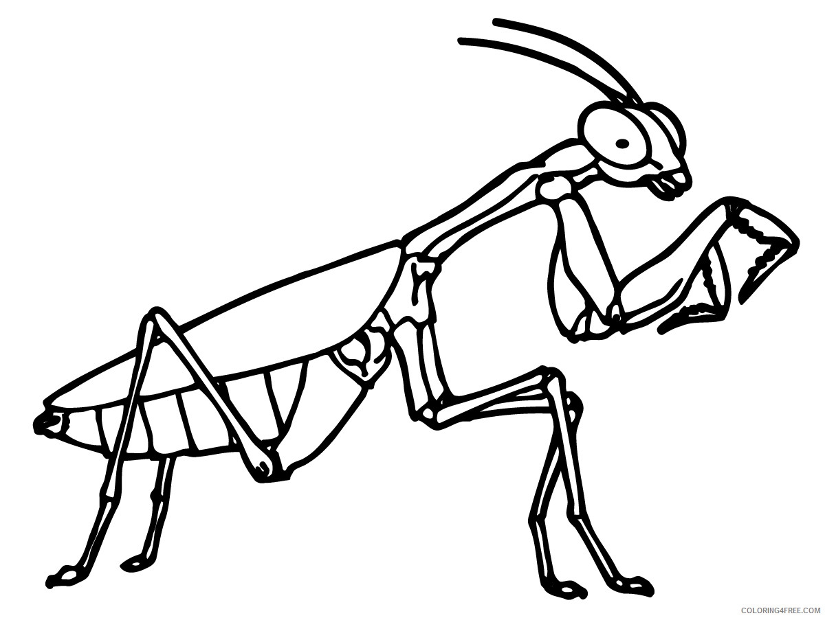 Praying Mantis Coloring Pages Praying Mantis 10 Jpg Printable Coloring4free Coloring4Free
