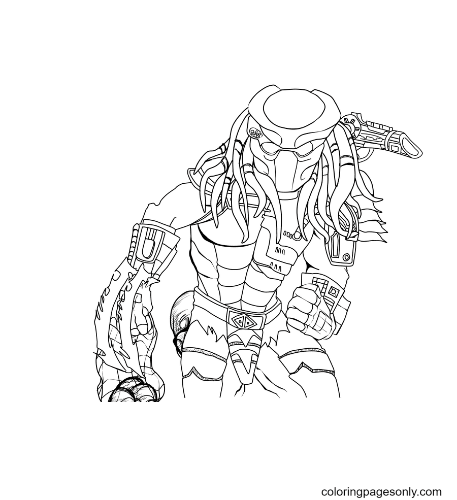 Predator Coloring Page